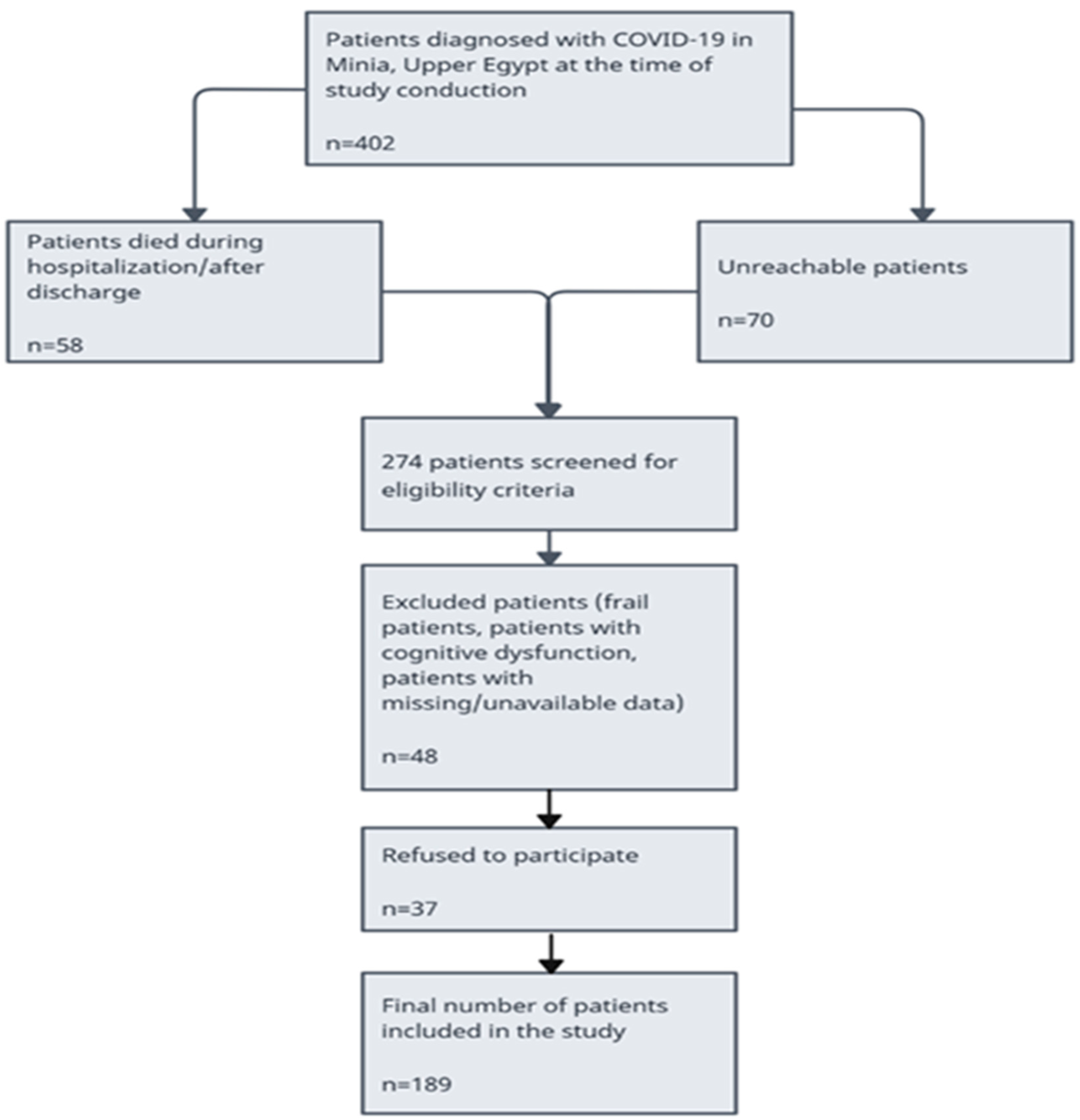 Healthcare 13 00699 g001