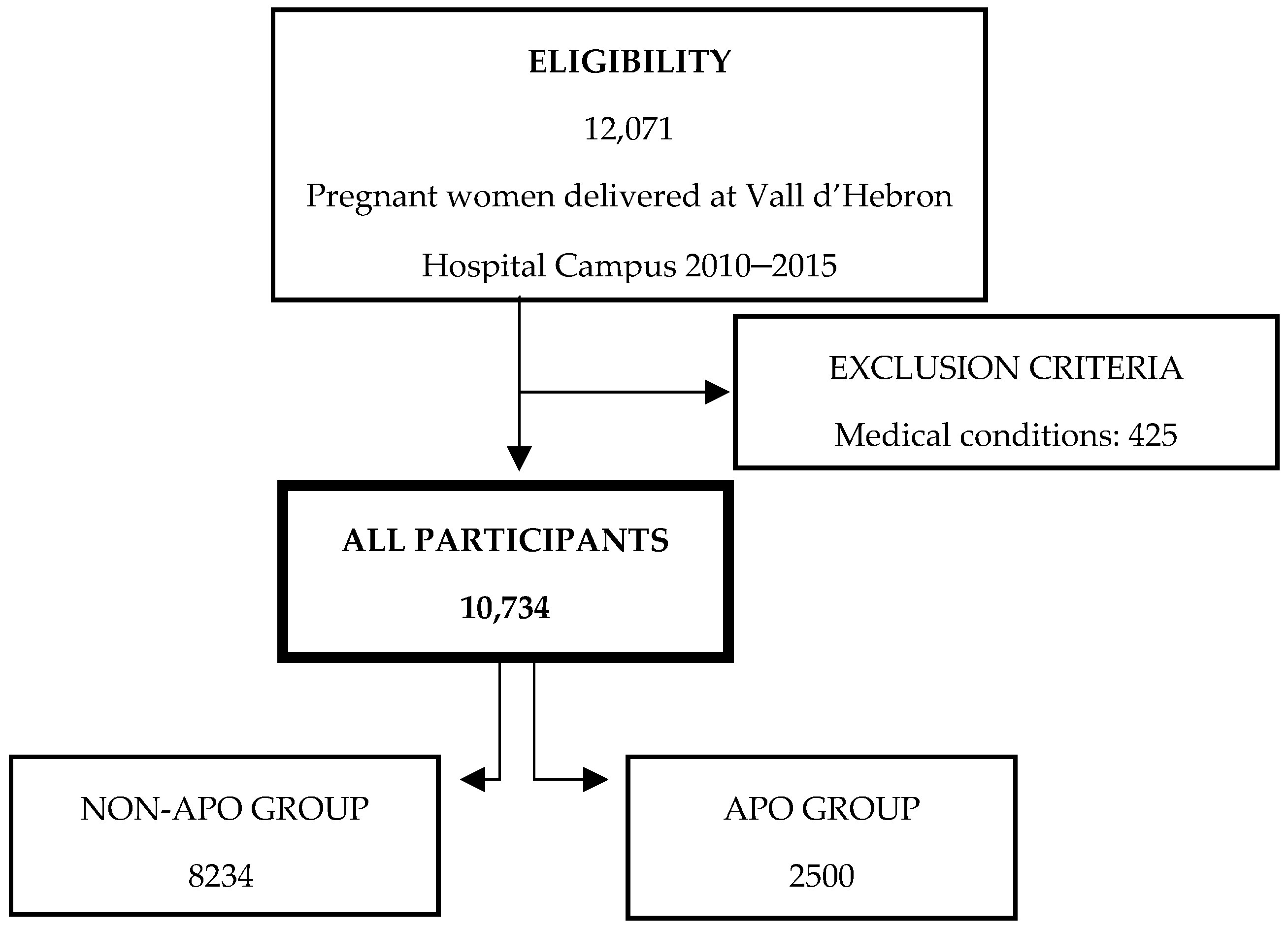 Healthcare 13 00728 g001