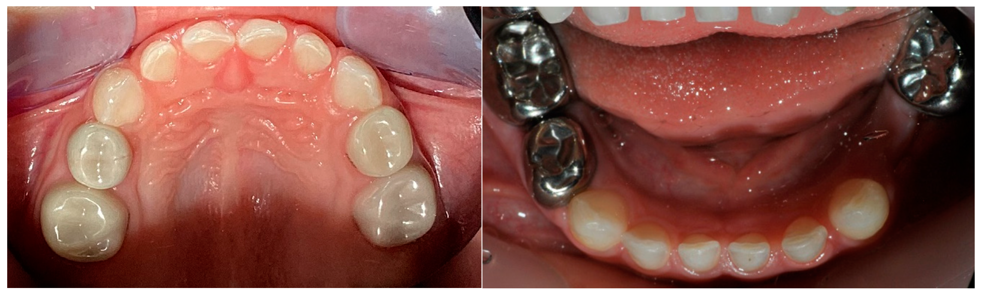 Healthcare 13 00751 g001