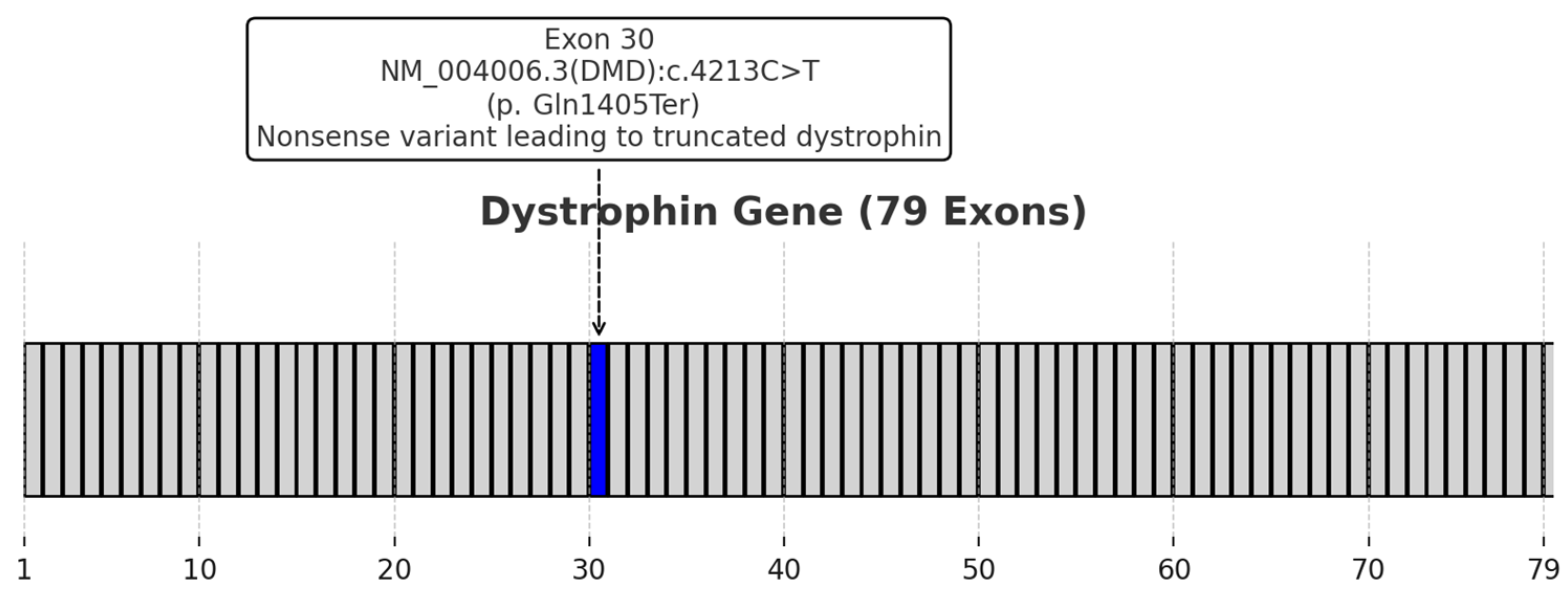 Healthcare 13 00830 g001