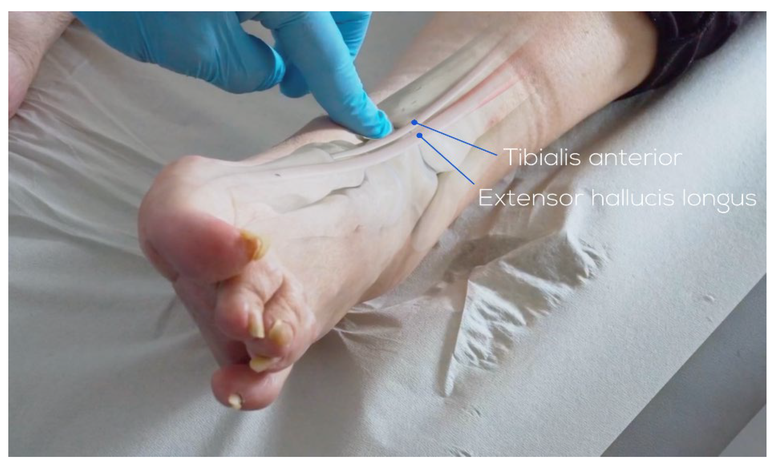 Healthcare 13 00841 g002