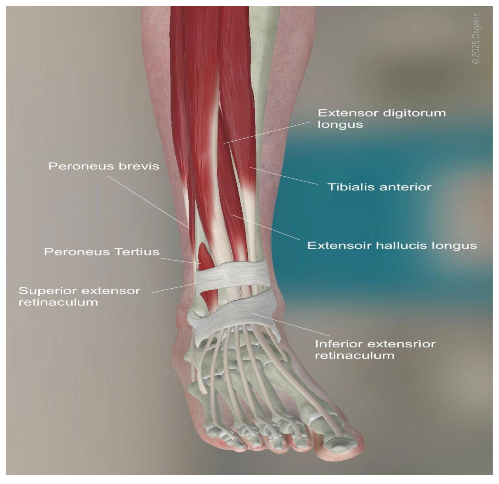 Healthcare 13 00841 g003