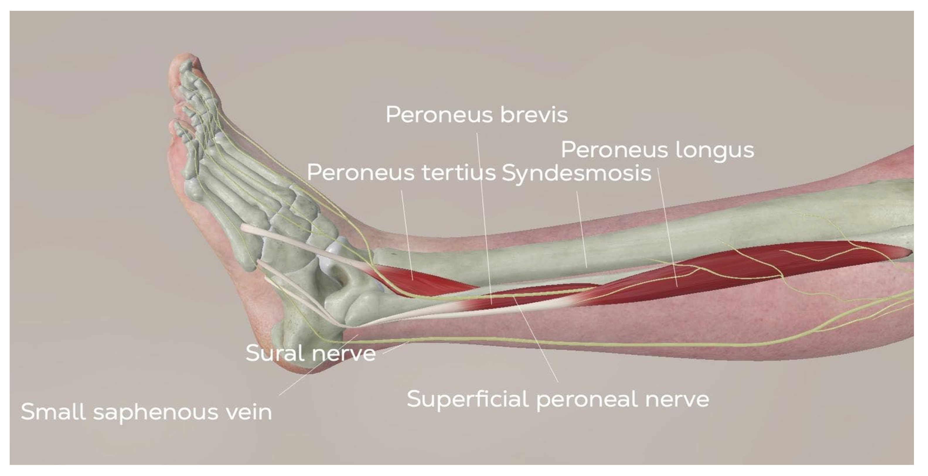 Healthcare 13 00841 g005