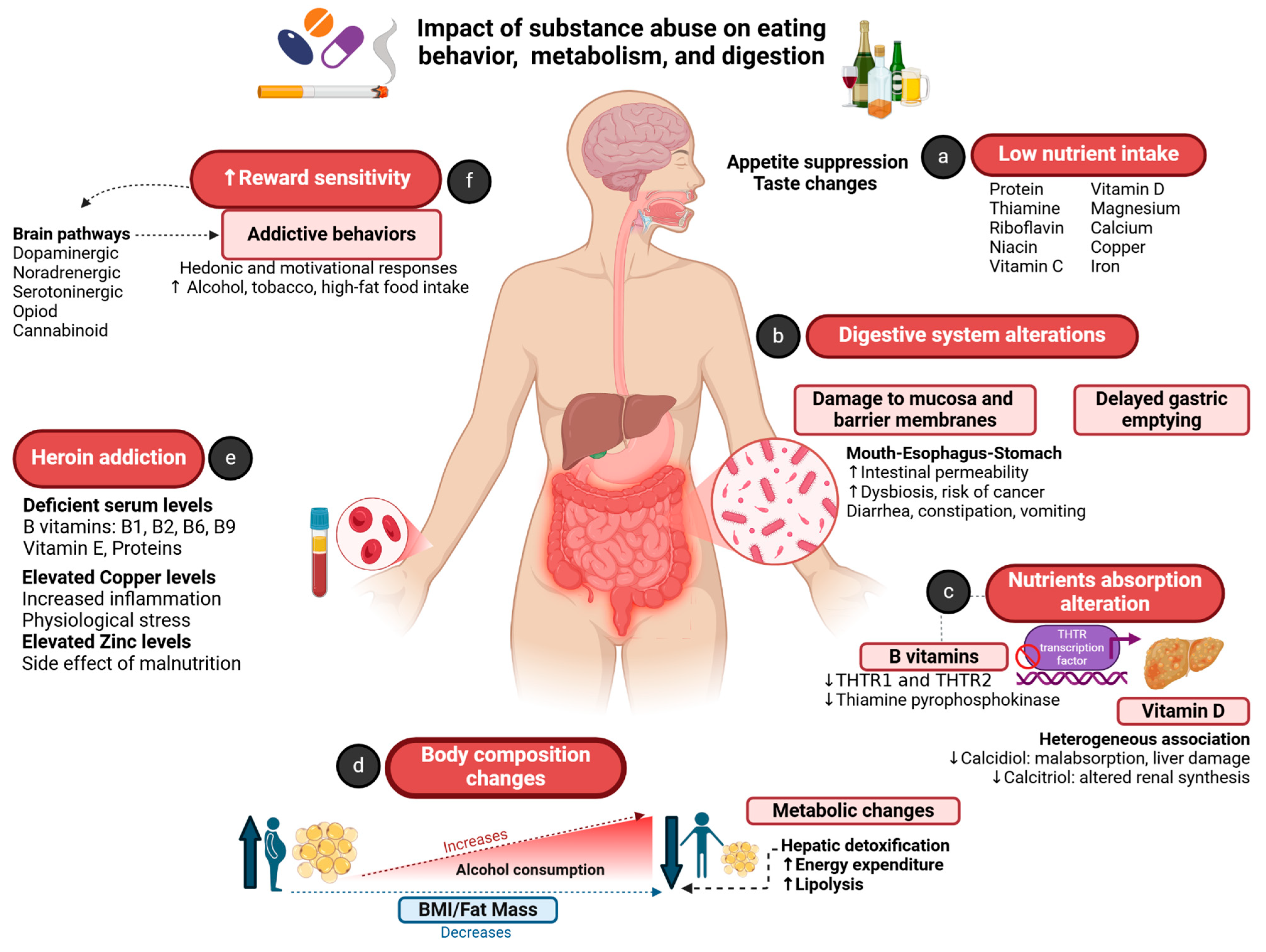 Healthcare 13 00868 g001 Healthcare 13 00868 g001
