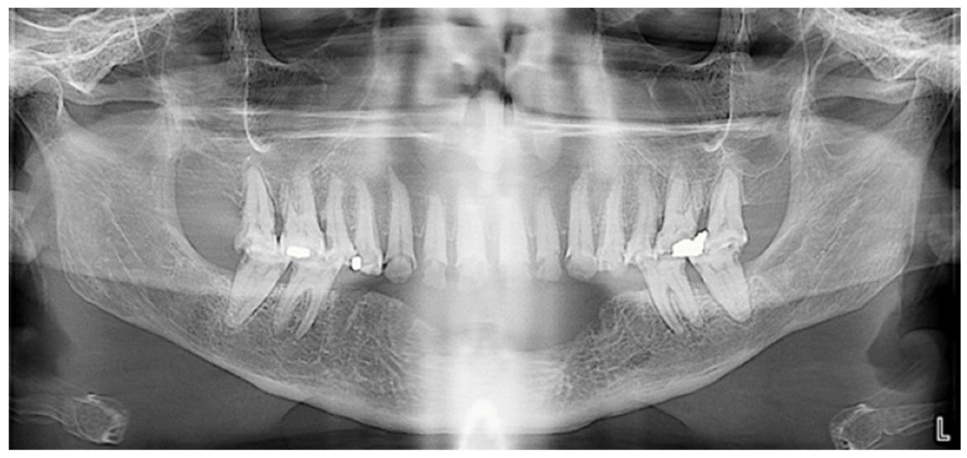 Healthcare 13 00940 g003