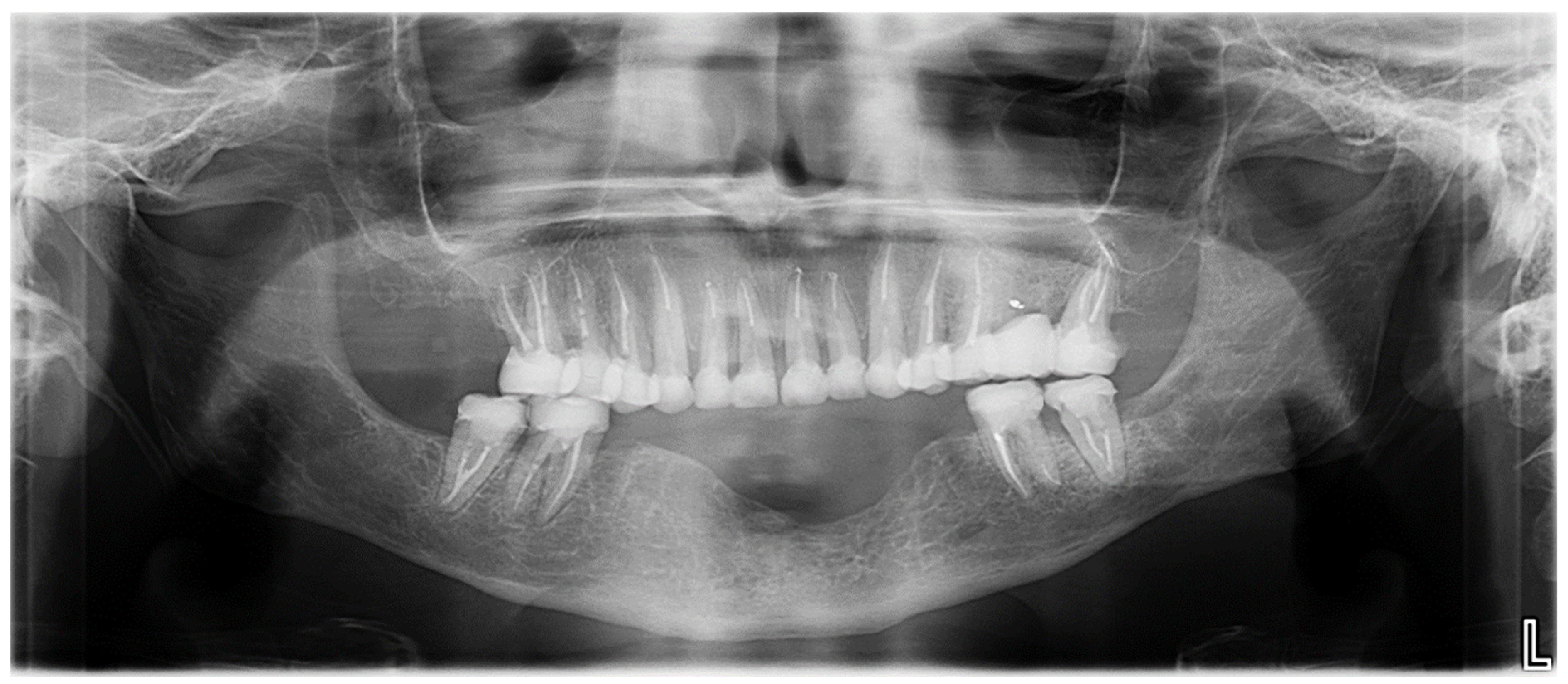 Healthcare 13 00940 g008