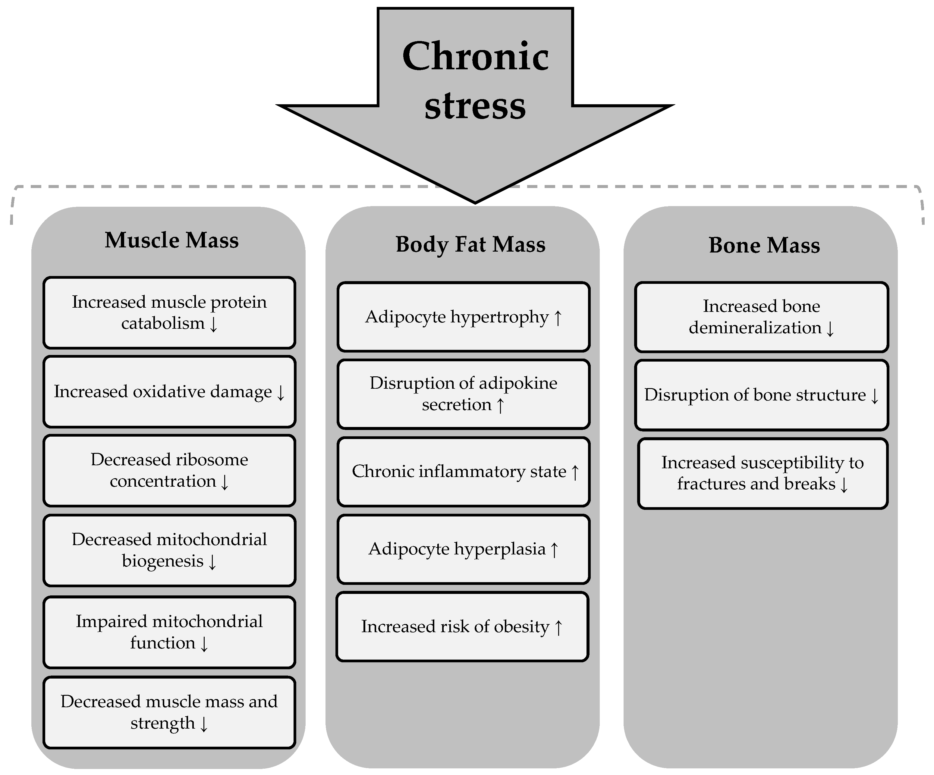 Healthcare 13 00949 g005 Healthcare 13 00949 g005
