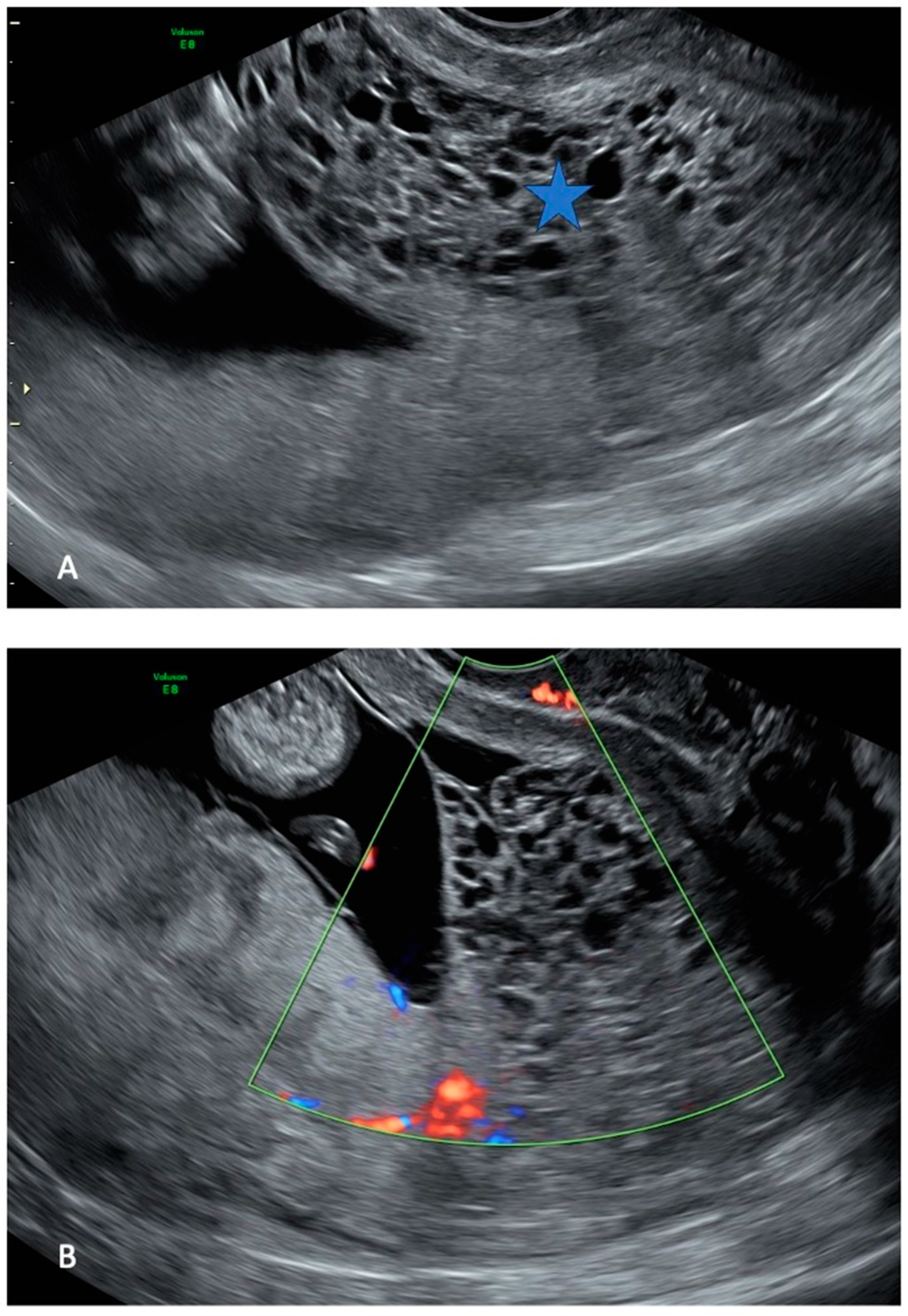 Healthcare 13 00970 g001