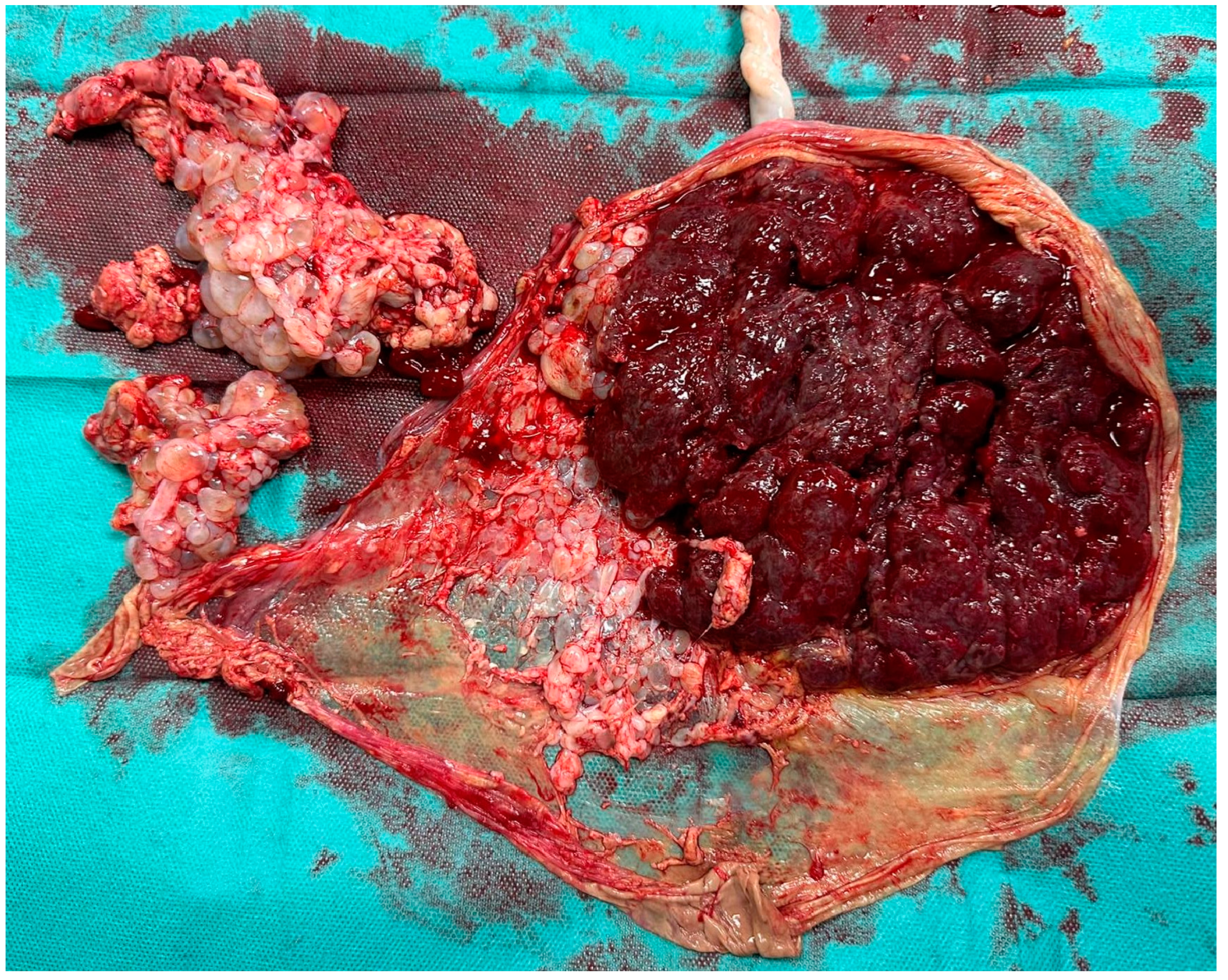 Healthcare 13 00970 g002