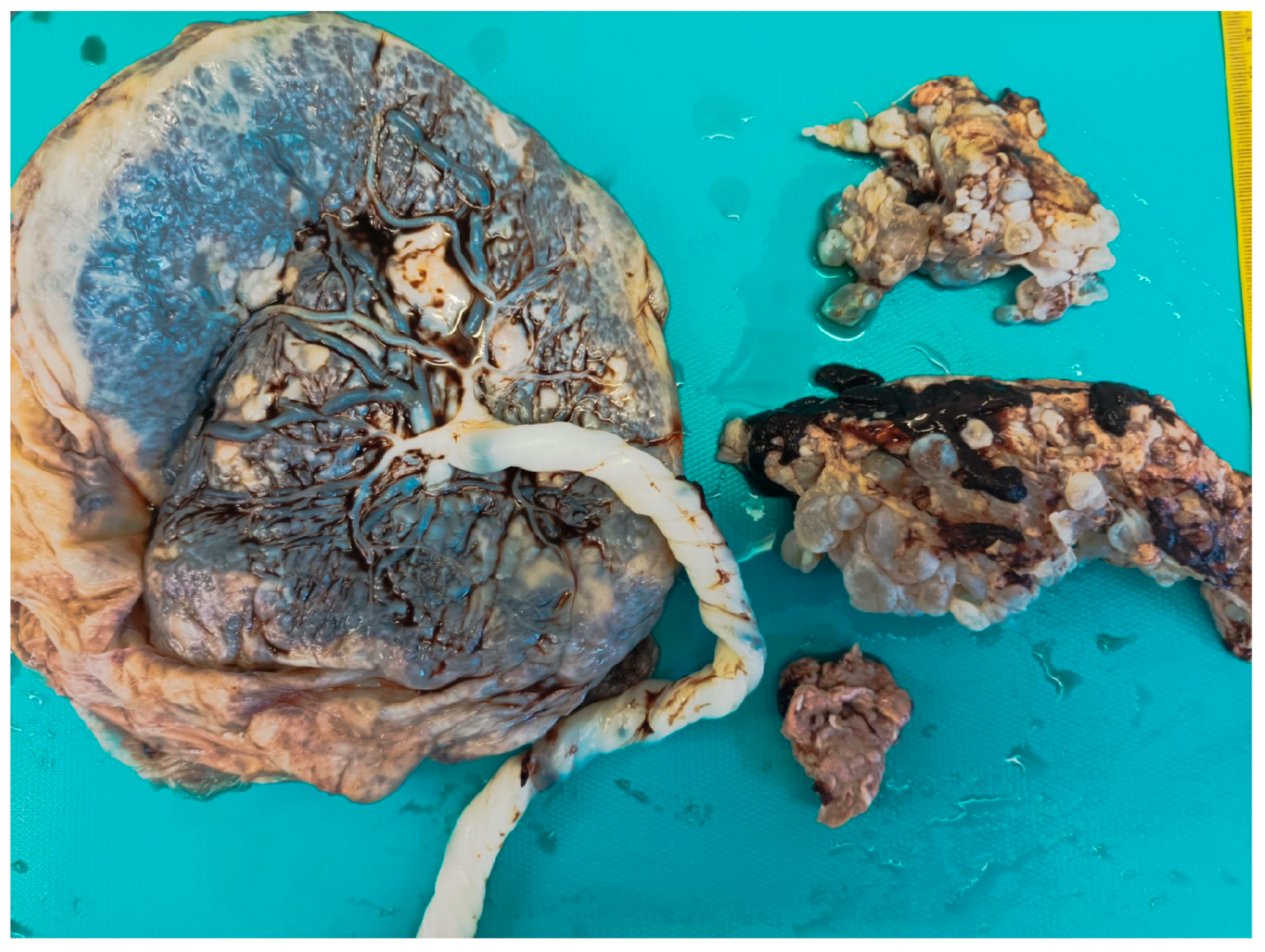 Healthcare 13 00970 g003