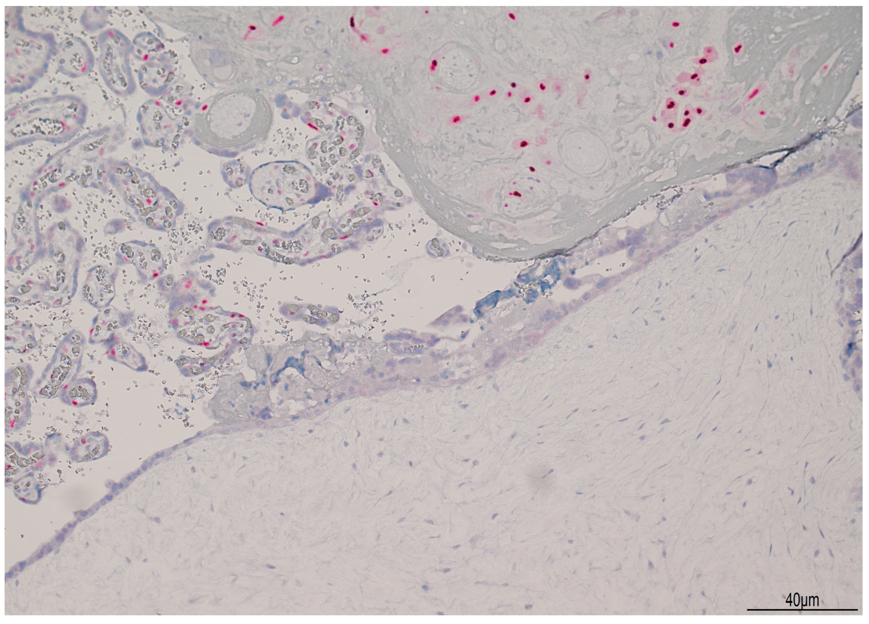 Healthcare 13 00970 g005