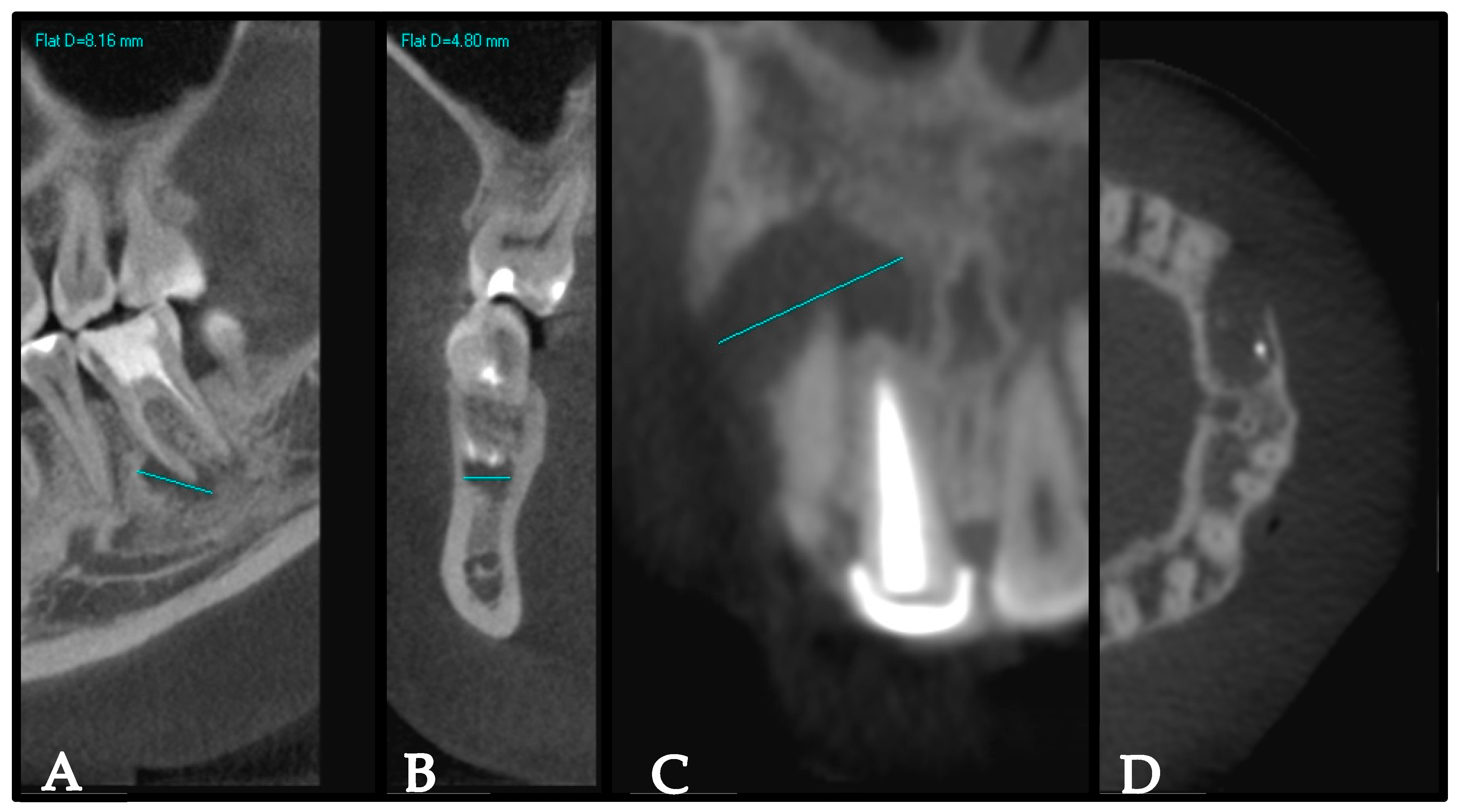 Healthcare 13 00995 g001