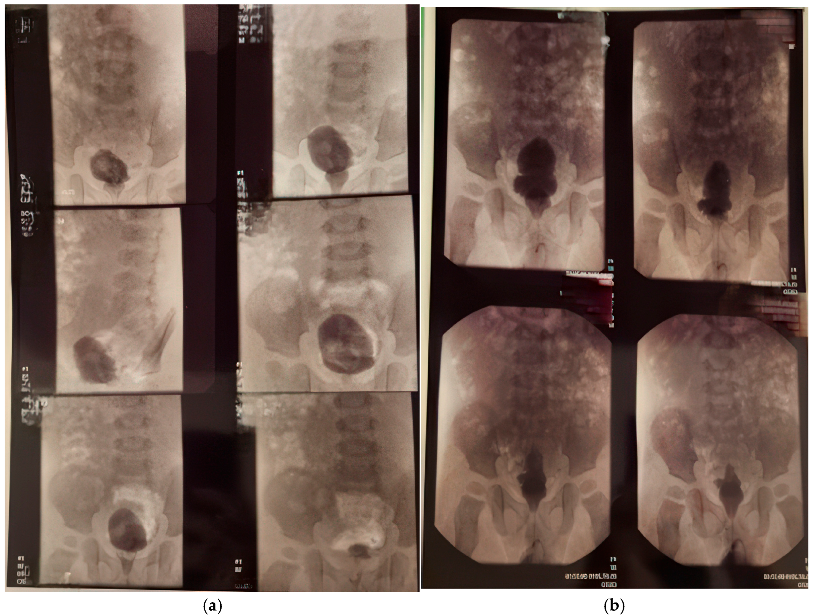 Healthcare 13 00998 g003