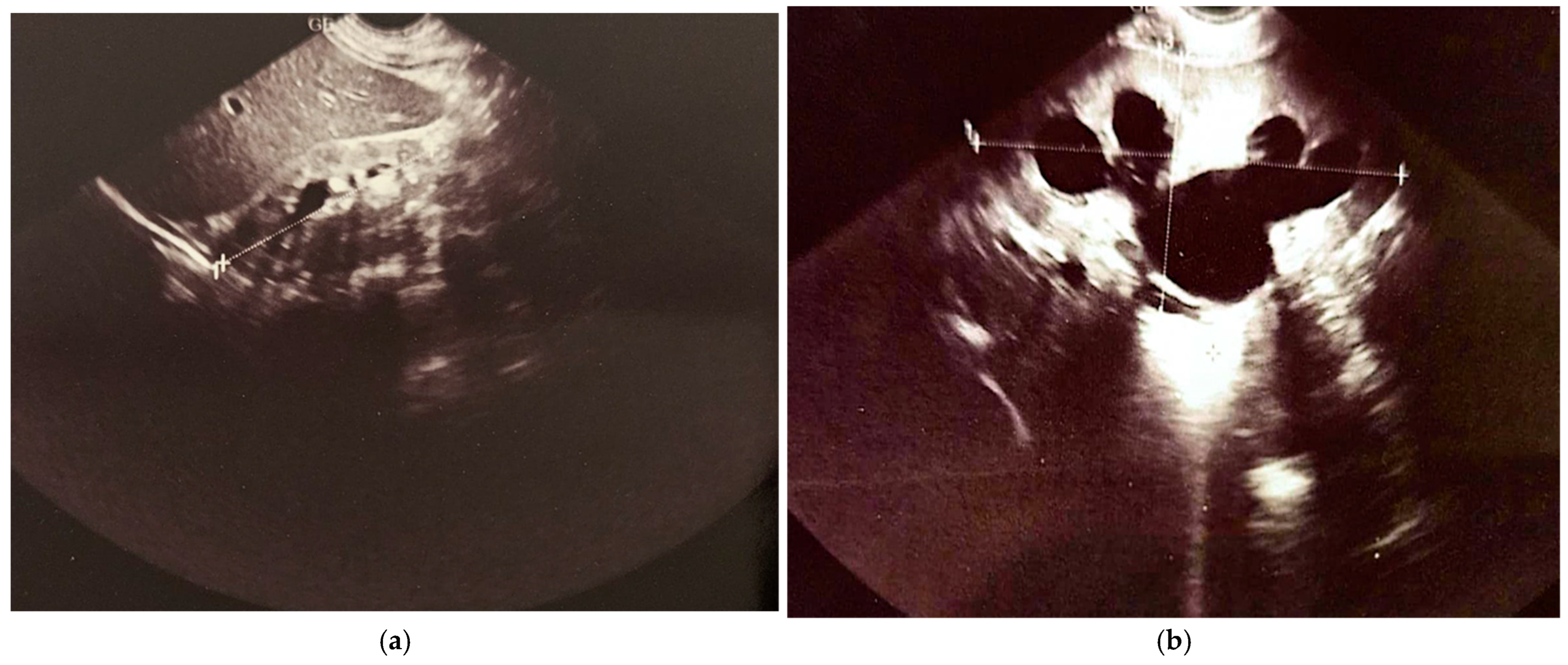 Healthcare 13 00998 g008a