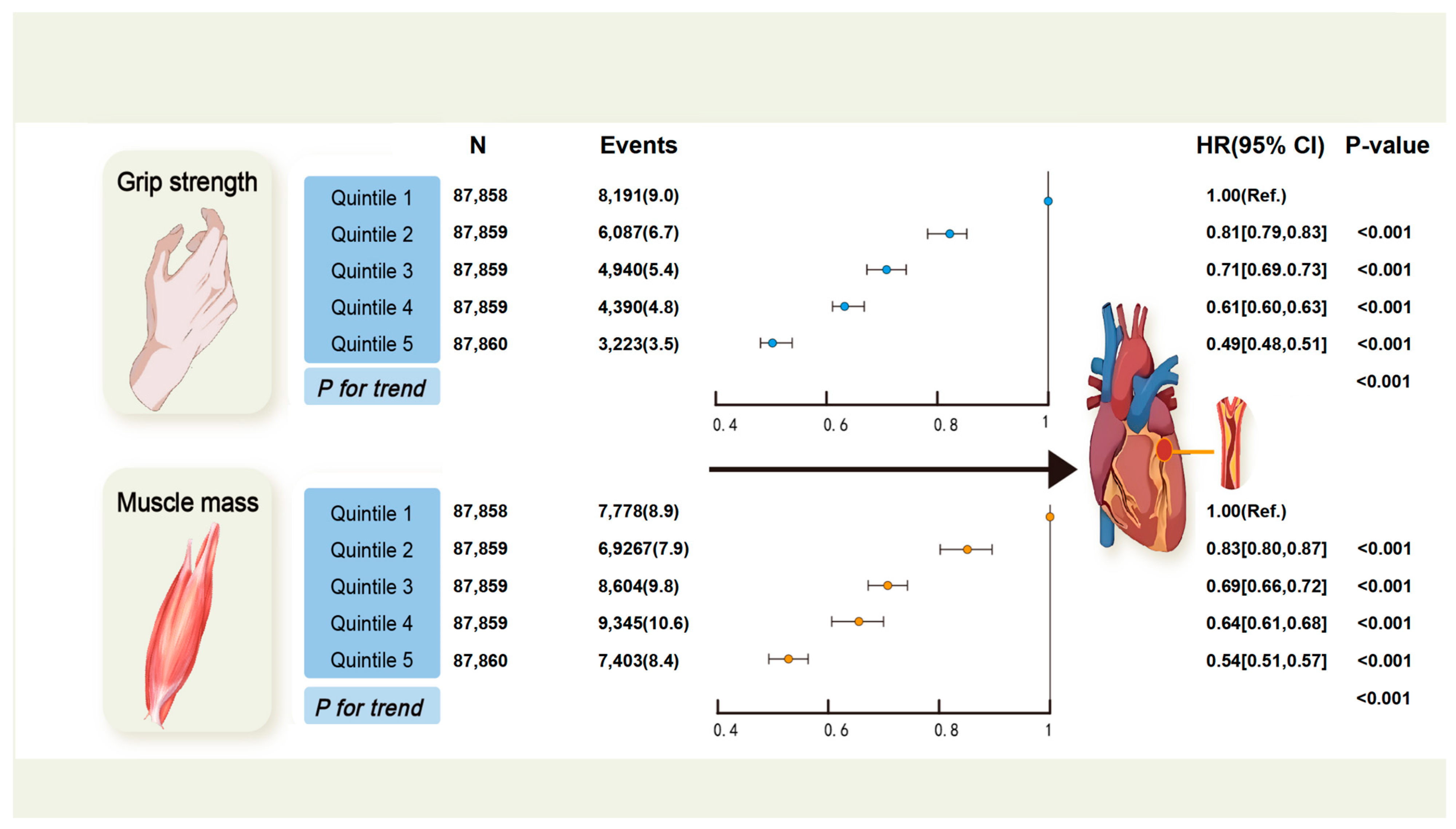 Healthcare 13 01018 g001