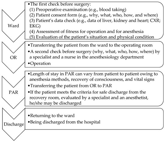 Norakichi 4点 (RSD・RMU・HP-LQD・DTS-LQD) Norakichi 4点 (RSD・RMU・HP-LQD・DTS-LQD) Norakichi 4点 (RSD