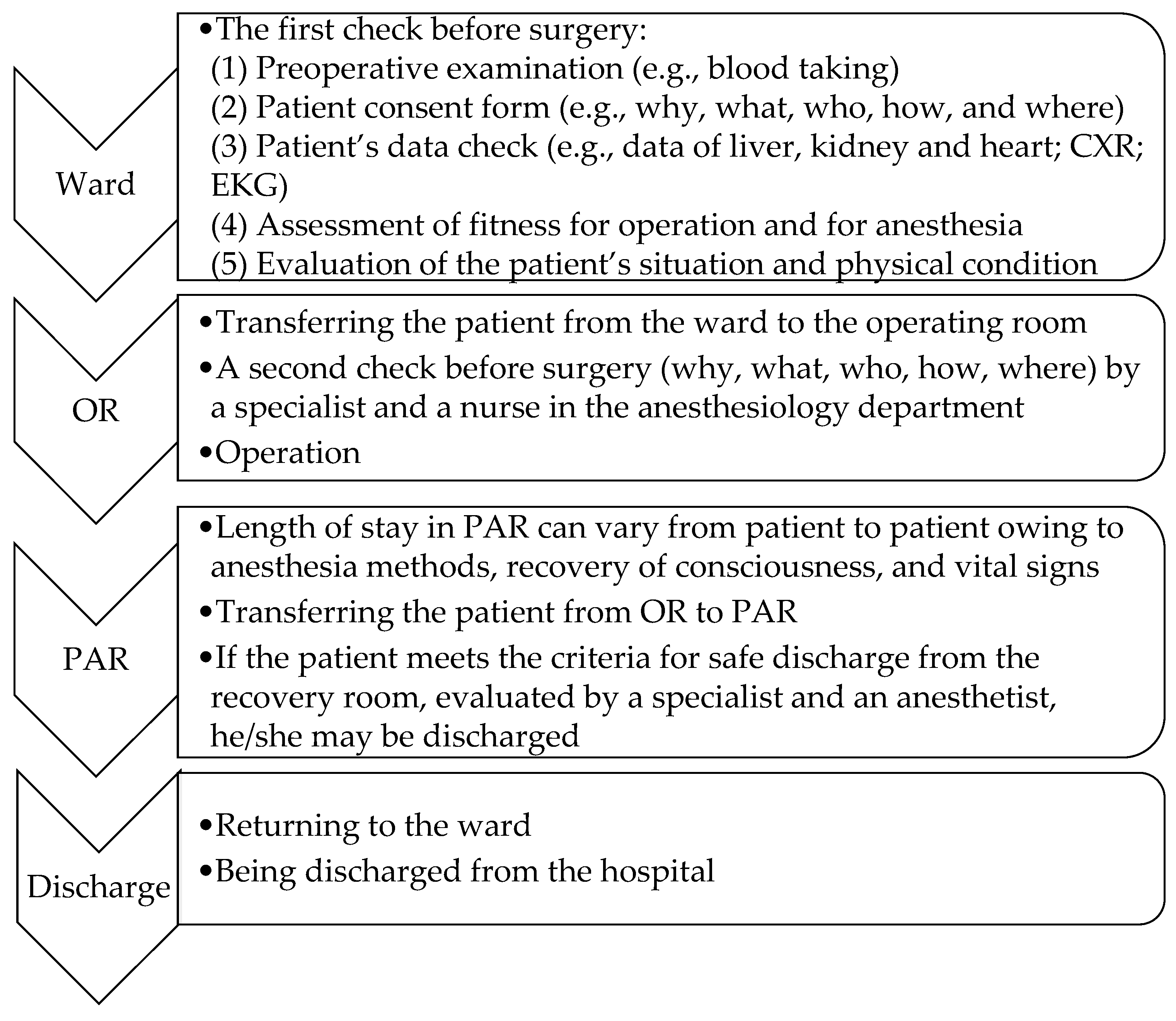 Healthcare 13 01024 g001