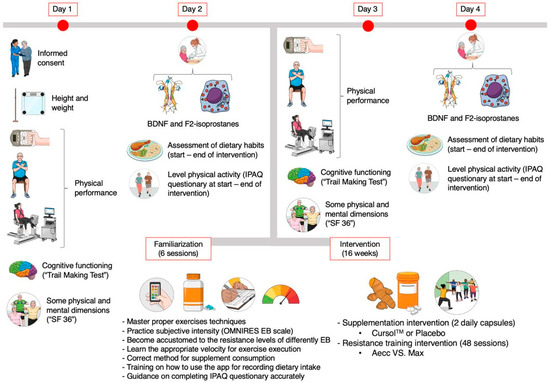 Effects of High-Resistance Elastic Band Training and a Curcumin