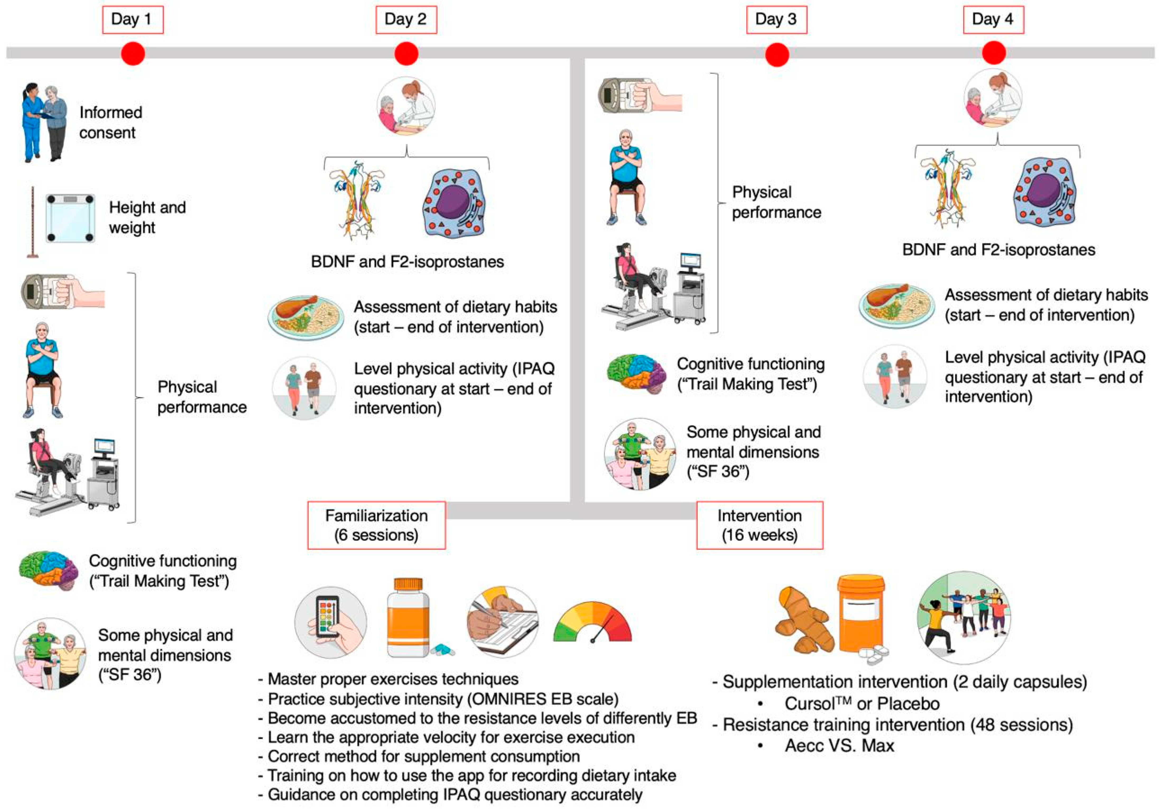 Effects of High-Resistance Elastic Band Training and a