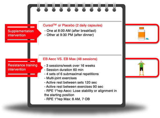 Effects of High-Resistance Elastic Band Training and a