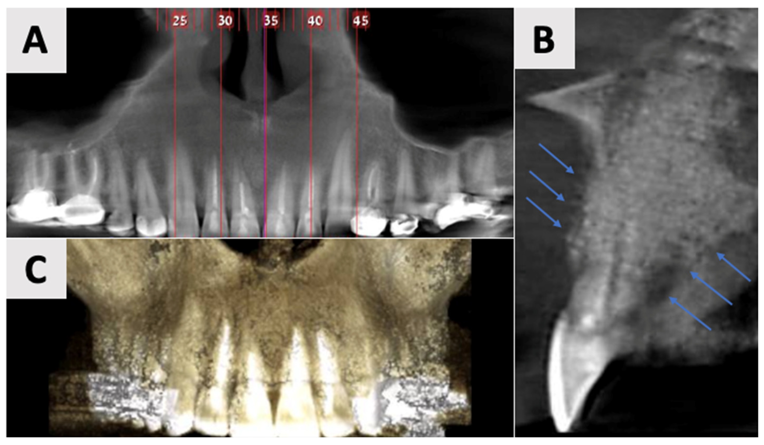 Healthcare 13 01068 g006