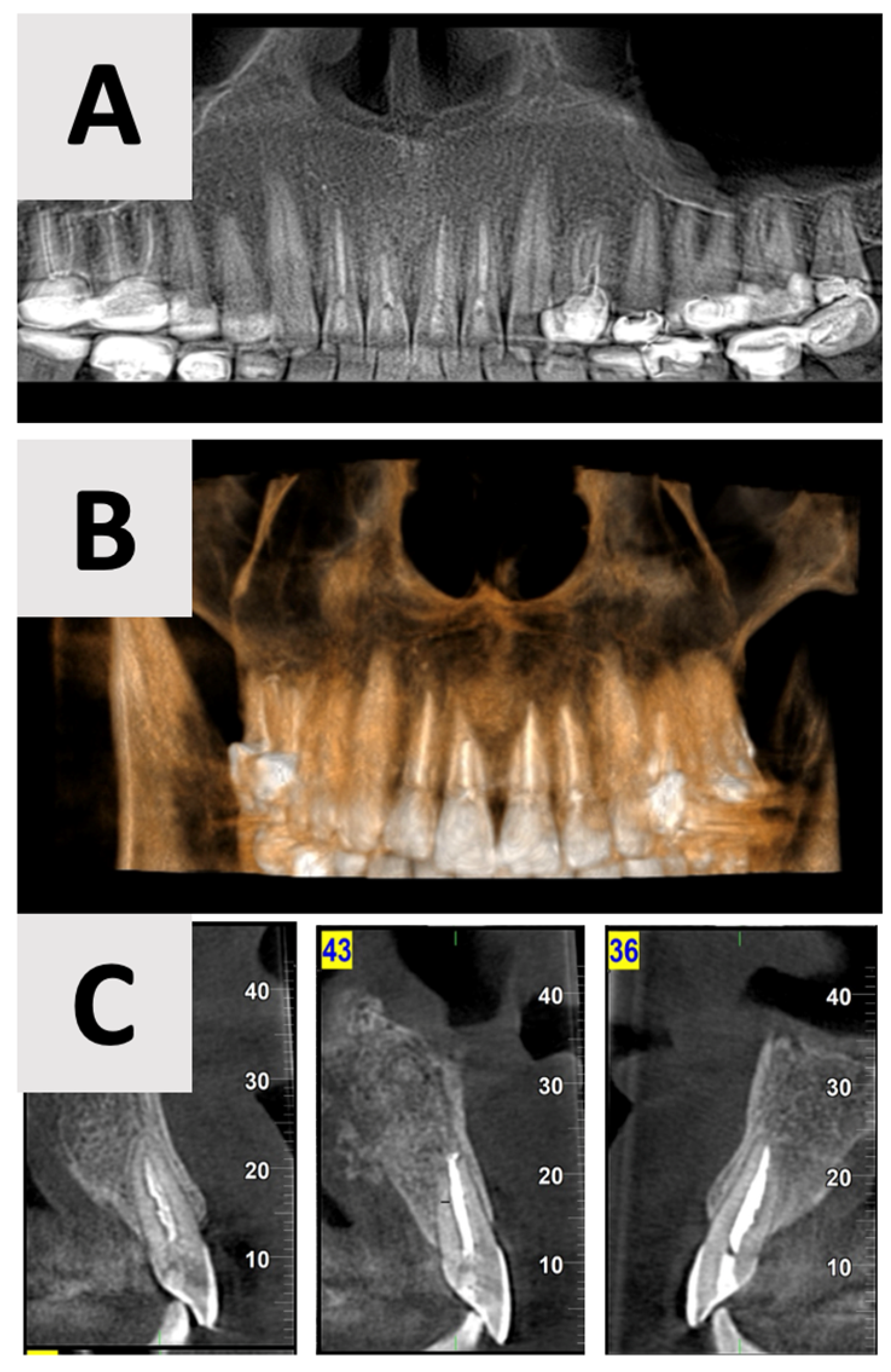 Healthcare 13 01068 g007