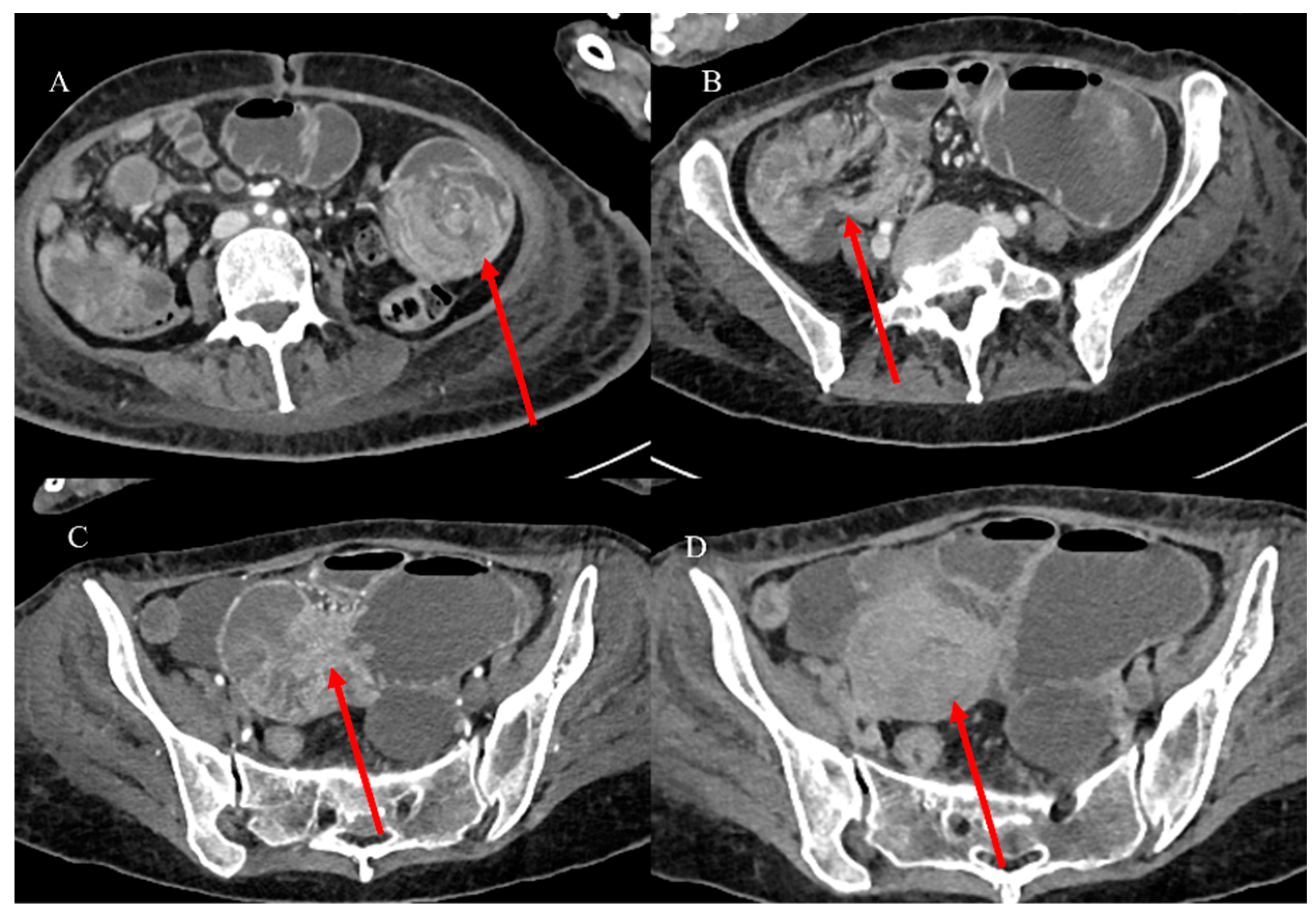 Healthcare 13 01071 g005