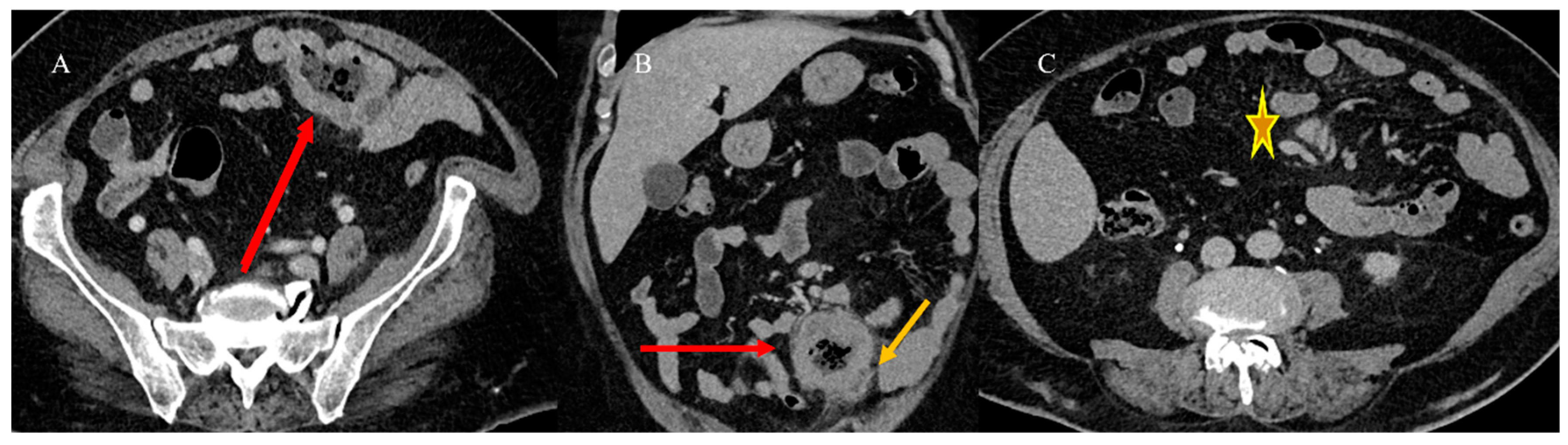 Healthcare 13 01071 g016
