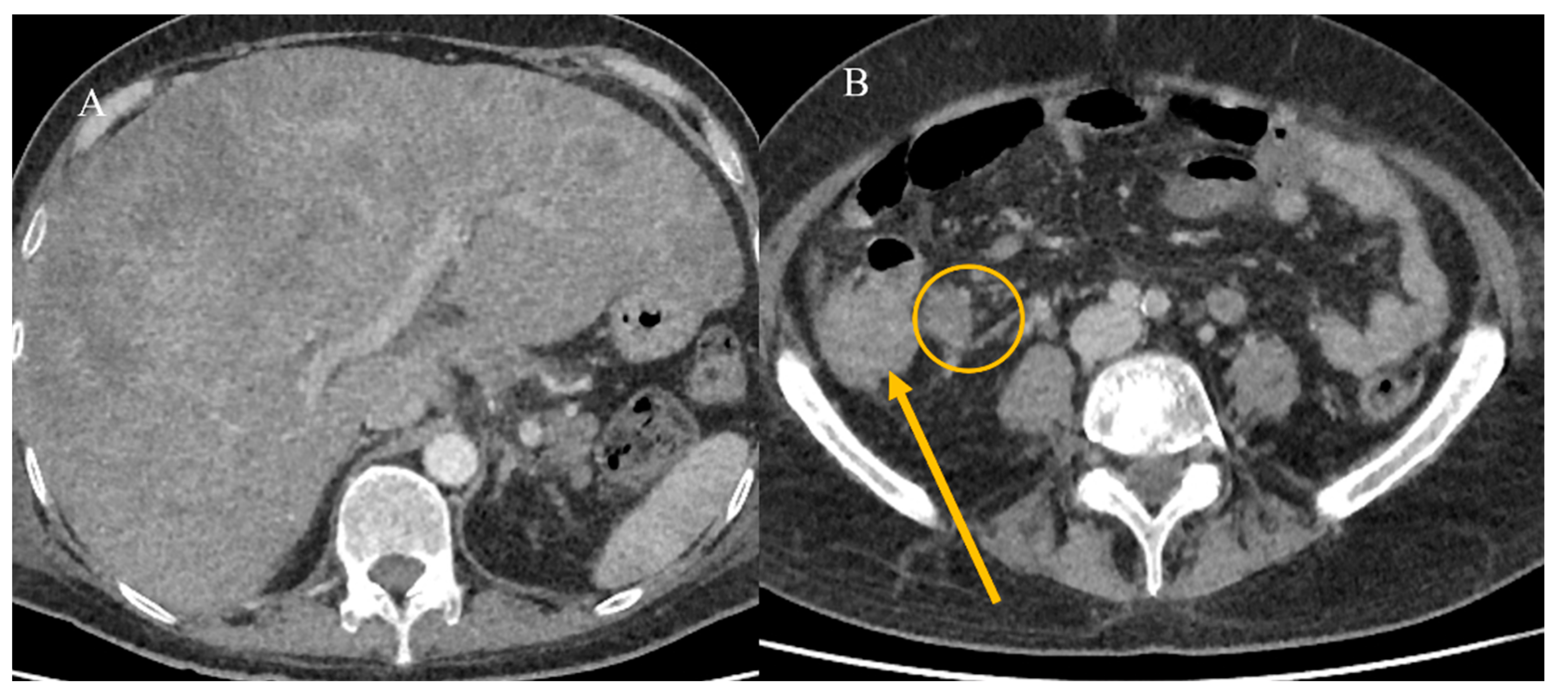 Healthcare 13 01071 g018