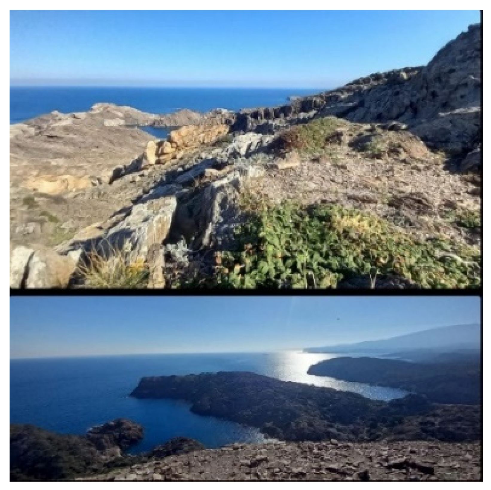 Healthcare 13 01103 g002