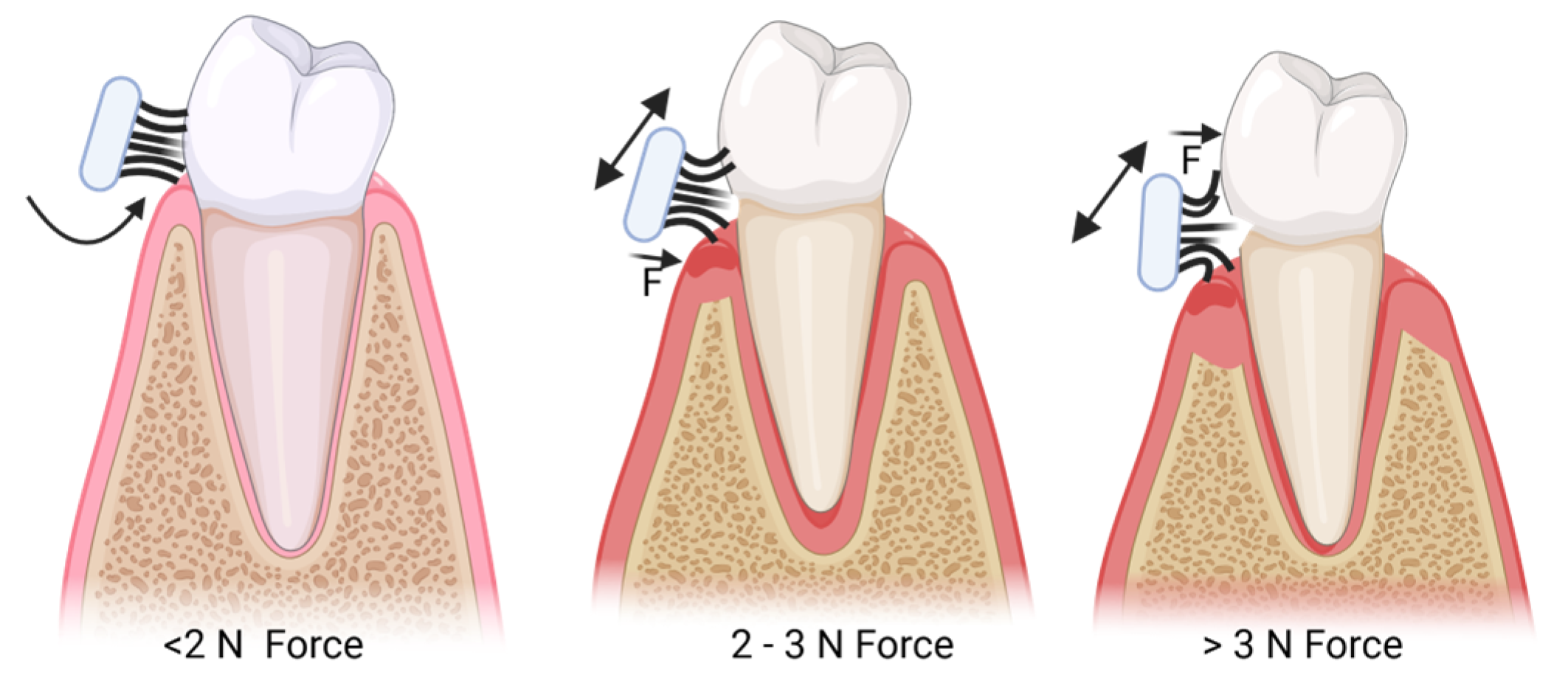 Healthcare 13 01138 g001 Healthcare 13 01138 g001