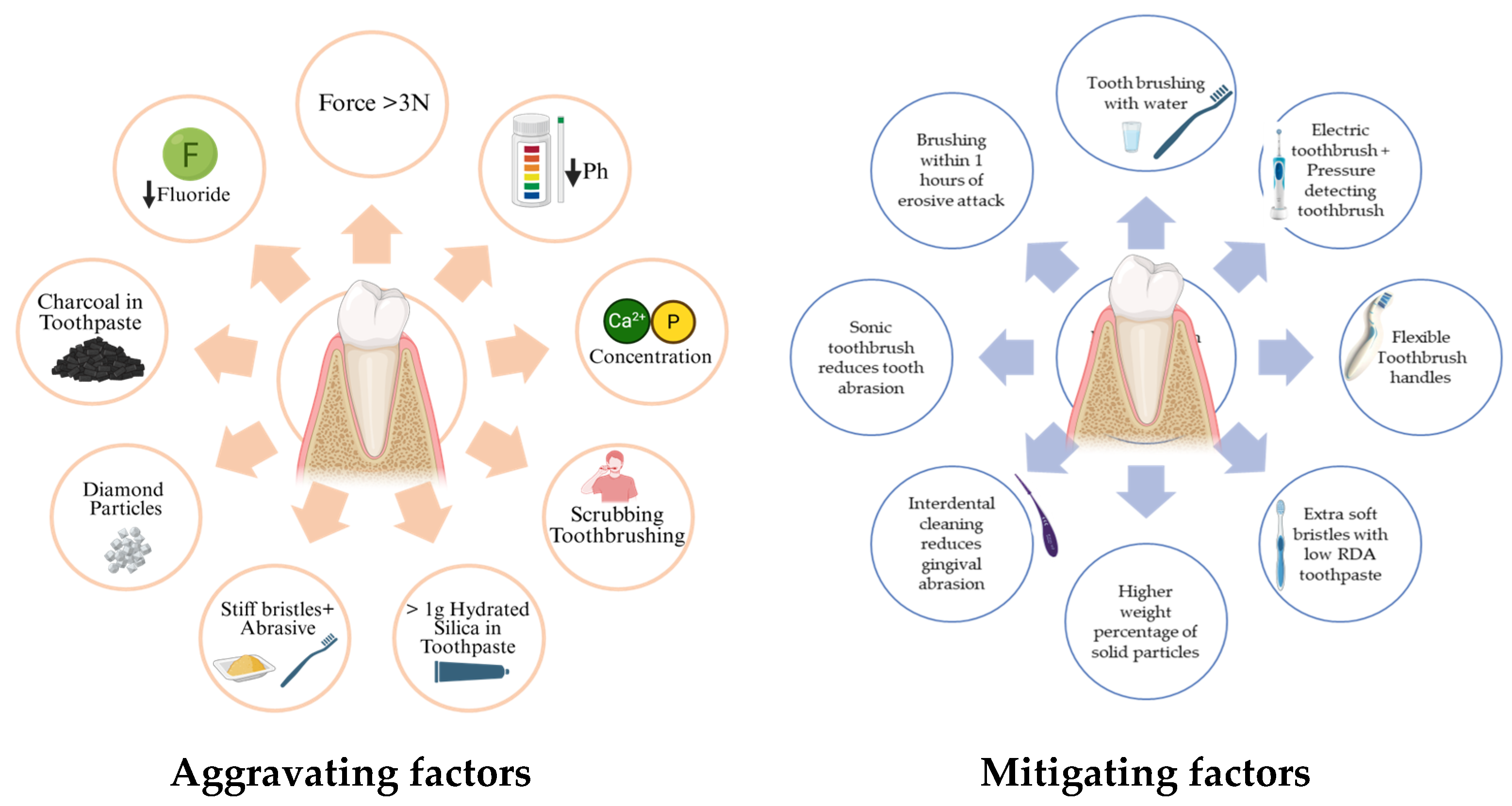 Healthcare 13 01138 g003 Healthcare 13 01138 g003