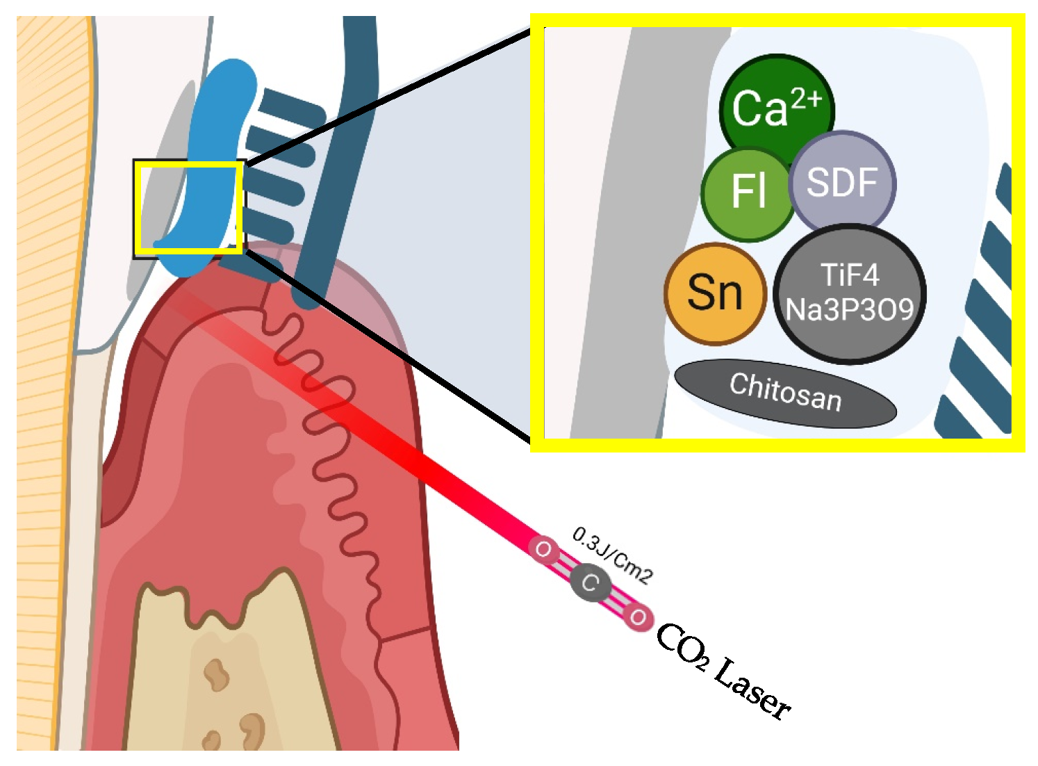 Healthcare 13 01138 g004 Healthcare 13 01138 g004