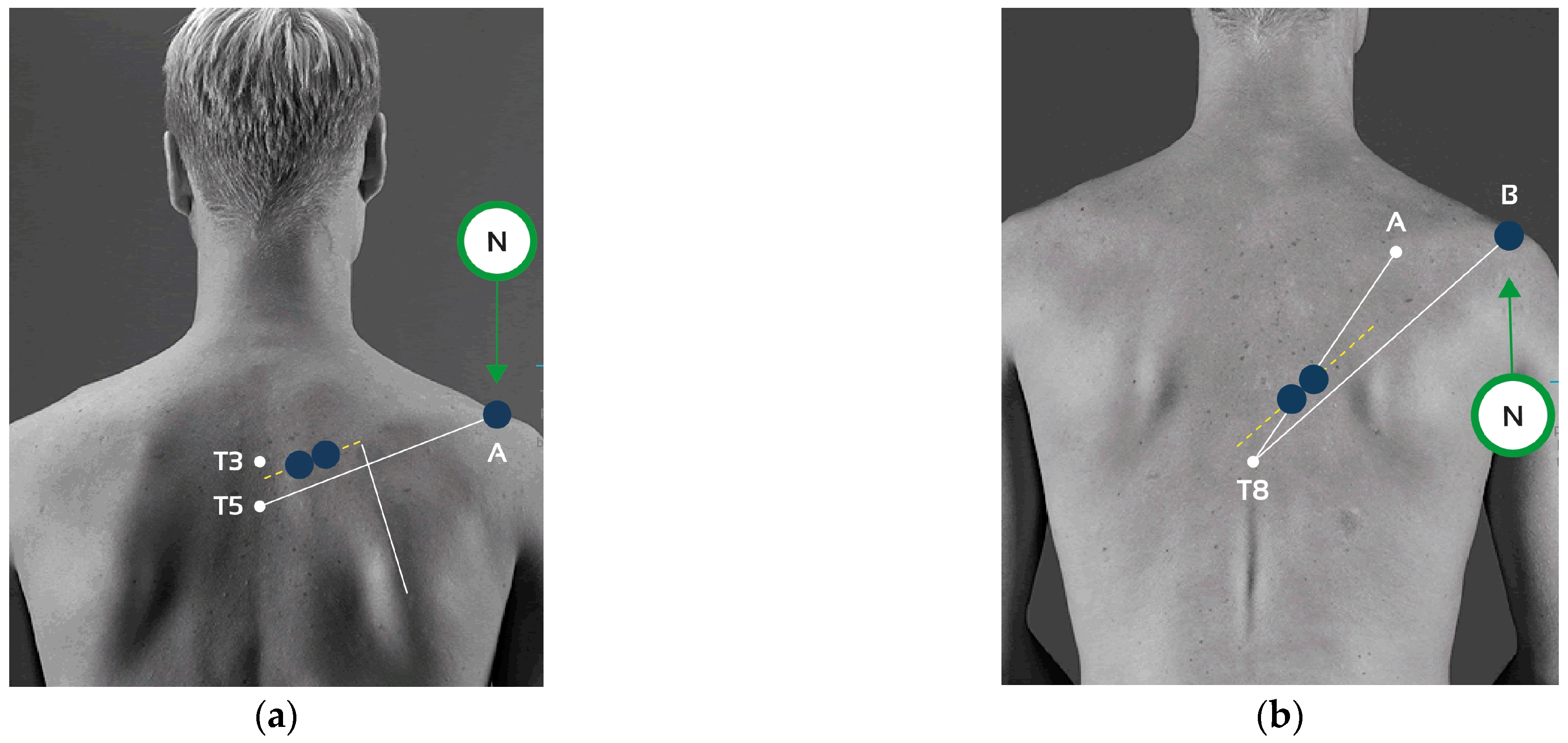 Healthcare 13 01153 g001