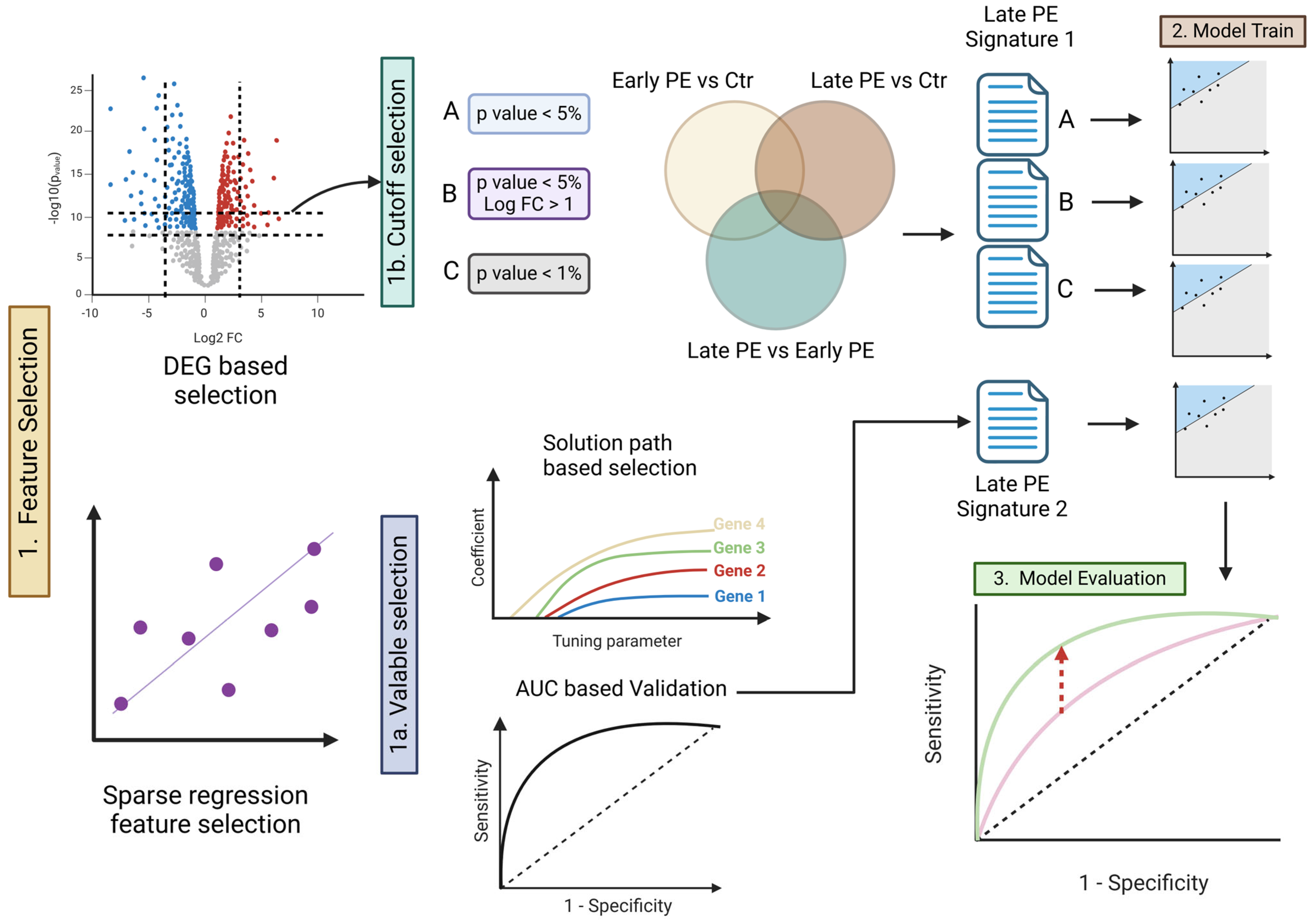 Healthcare 13 01162 g001