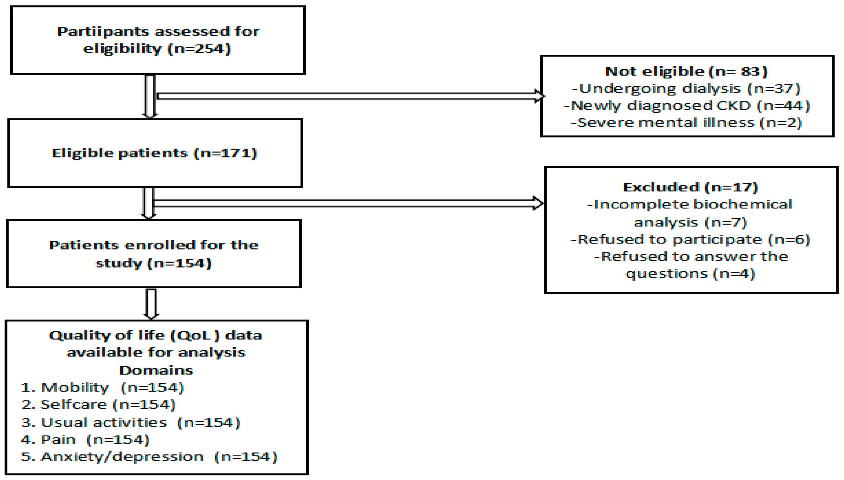 Healthcare 13 01167 g001