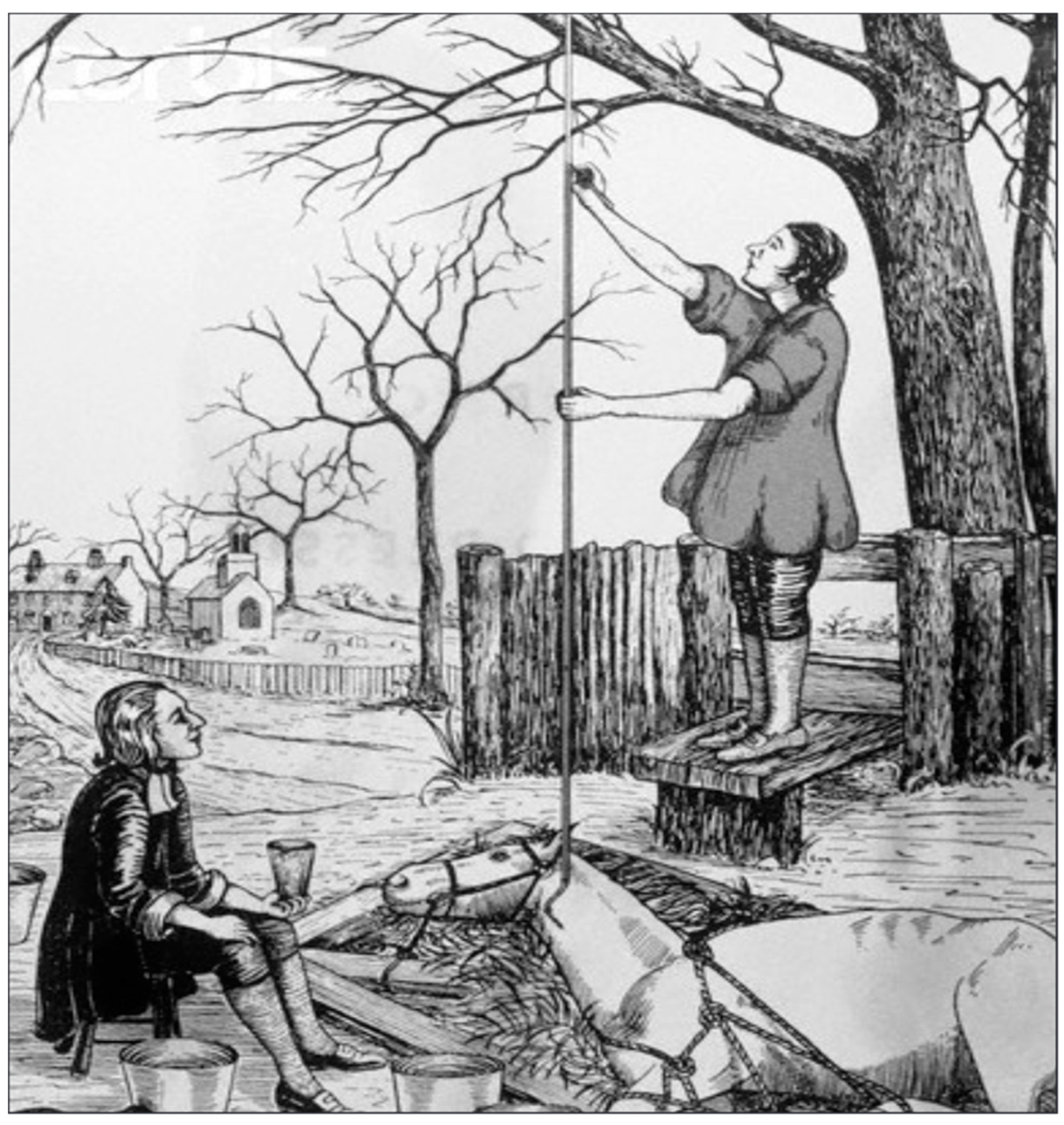 Healthcare 13 01168 g001