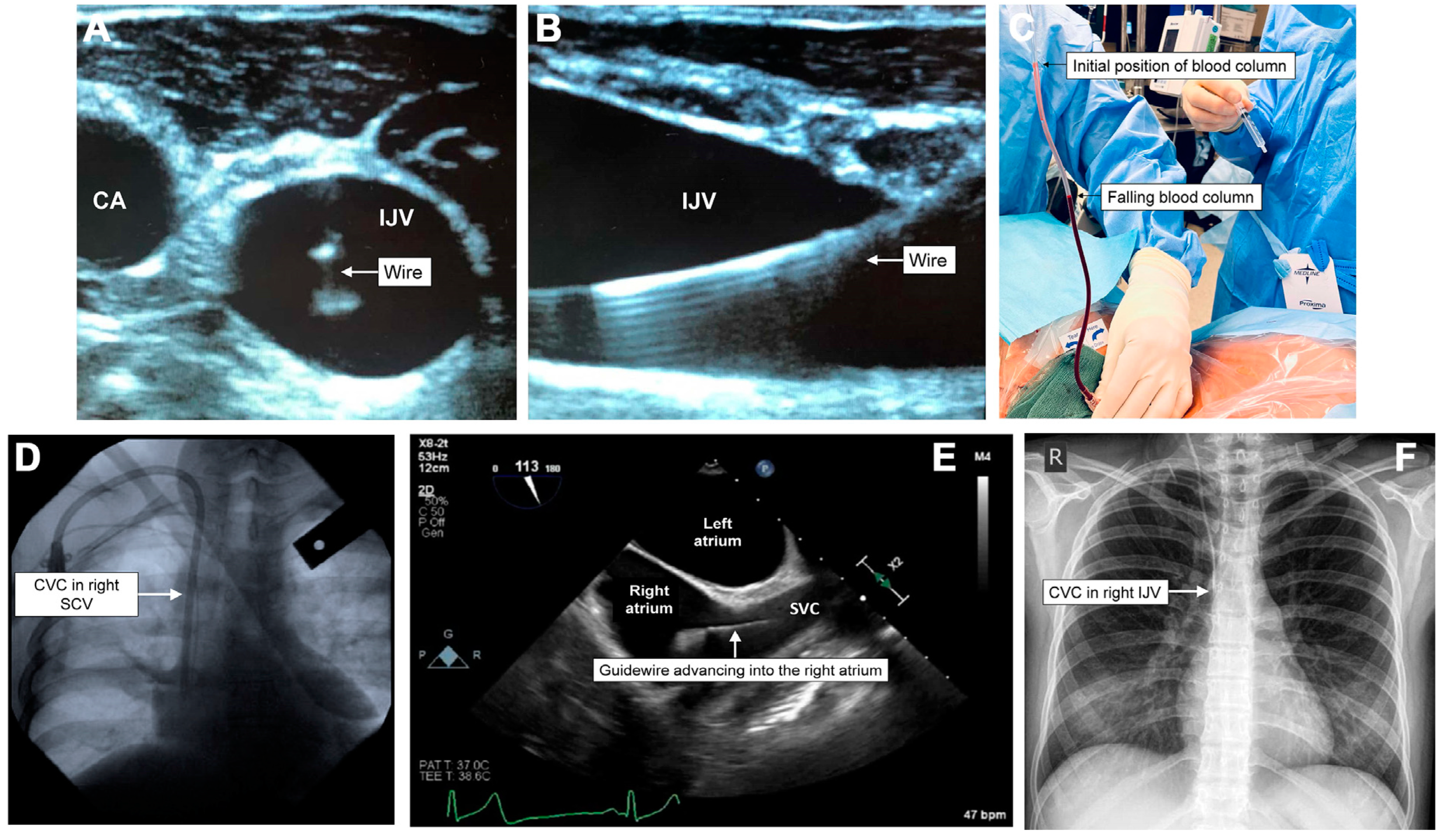 Healthcare 13 01168 g002