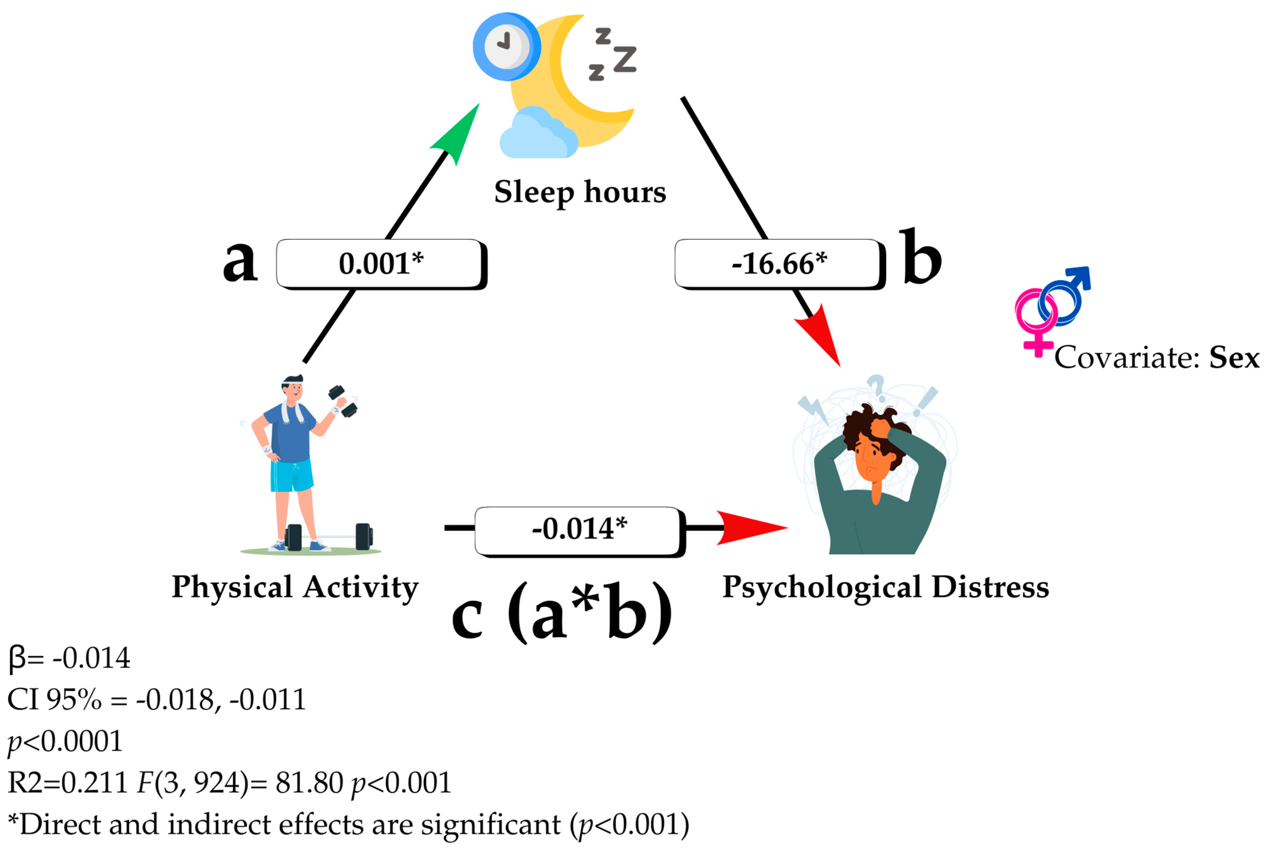 Healthcare 13 01197 g001