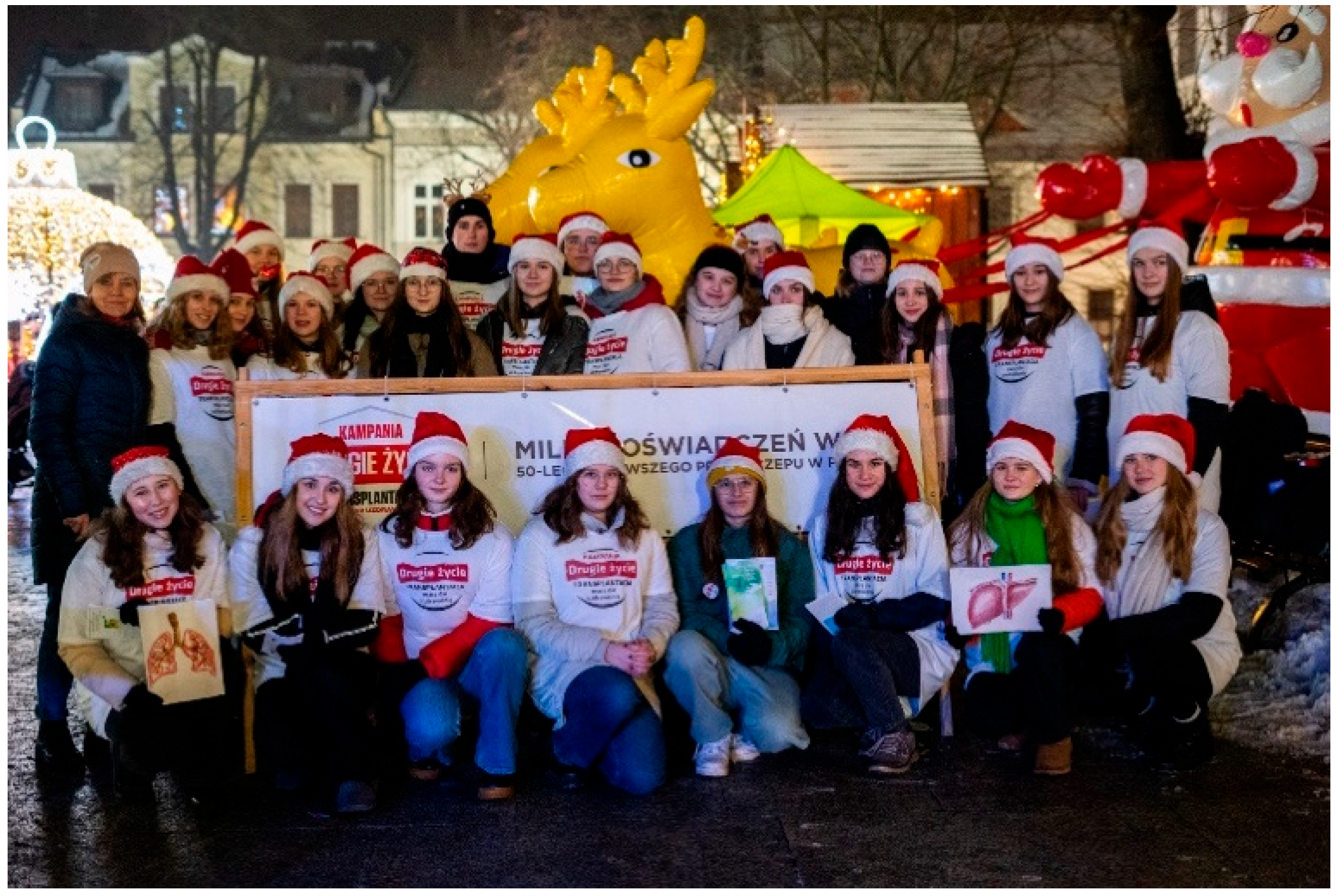 Healthcare 13 01203 g003