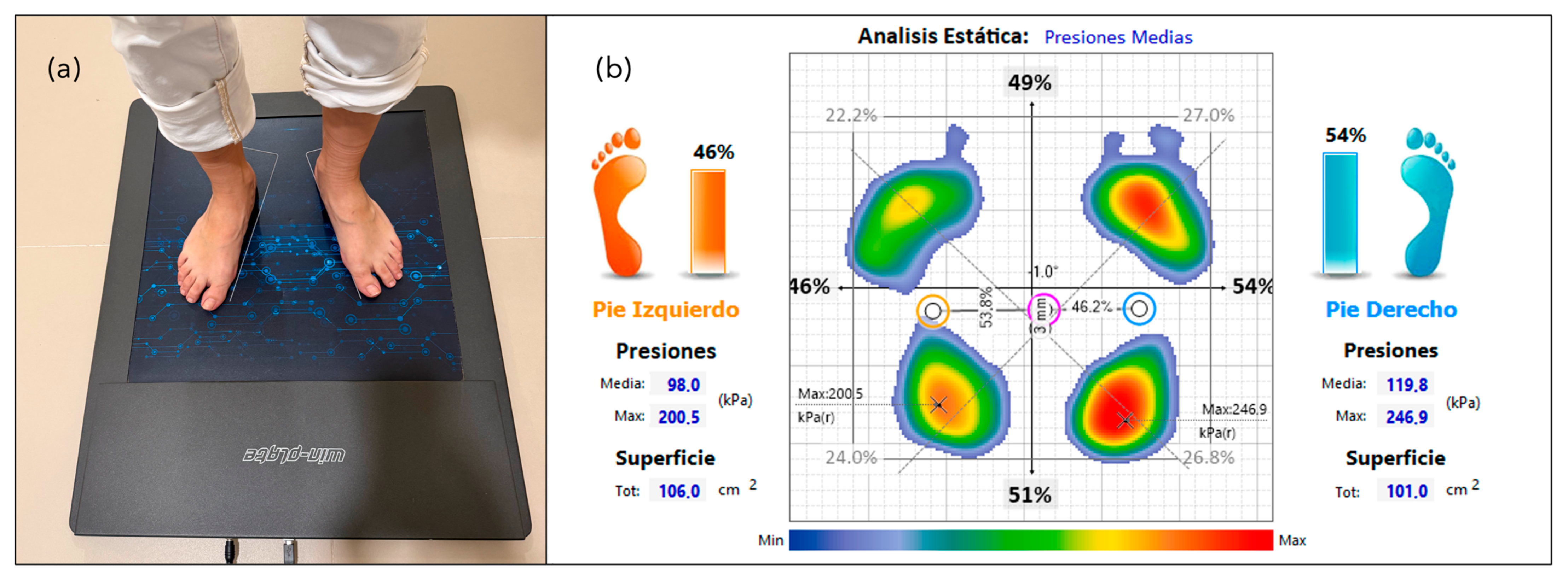 Healthcare 13 01231 g001