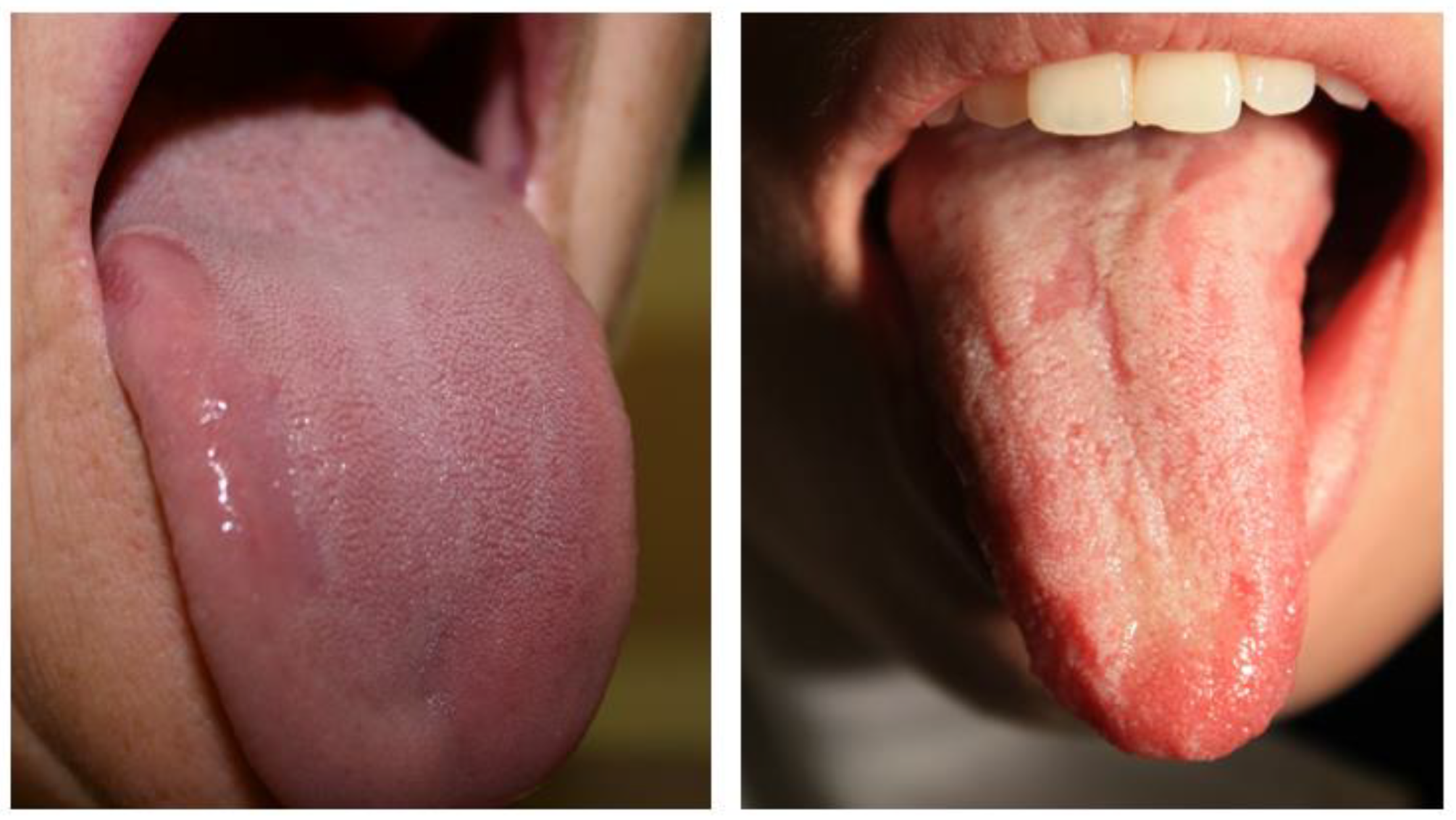 Healthcare 13 01299 g003 Healthcare 13 01299 g003