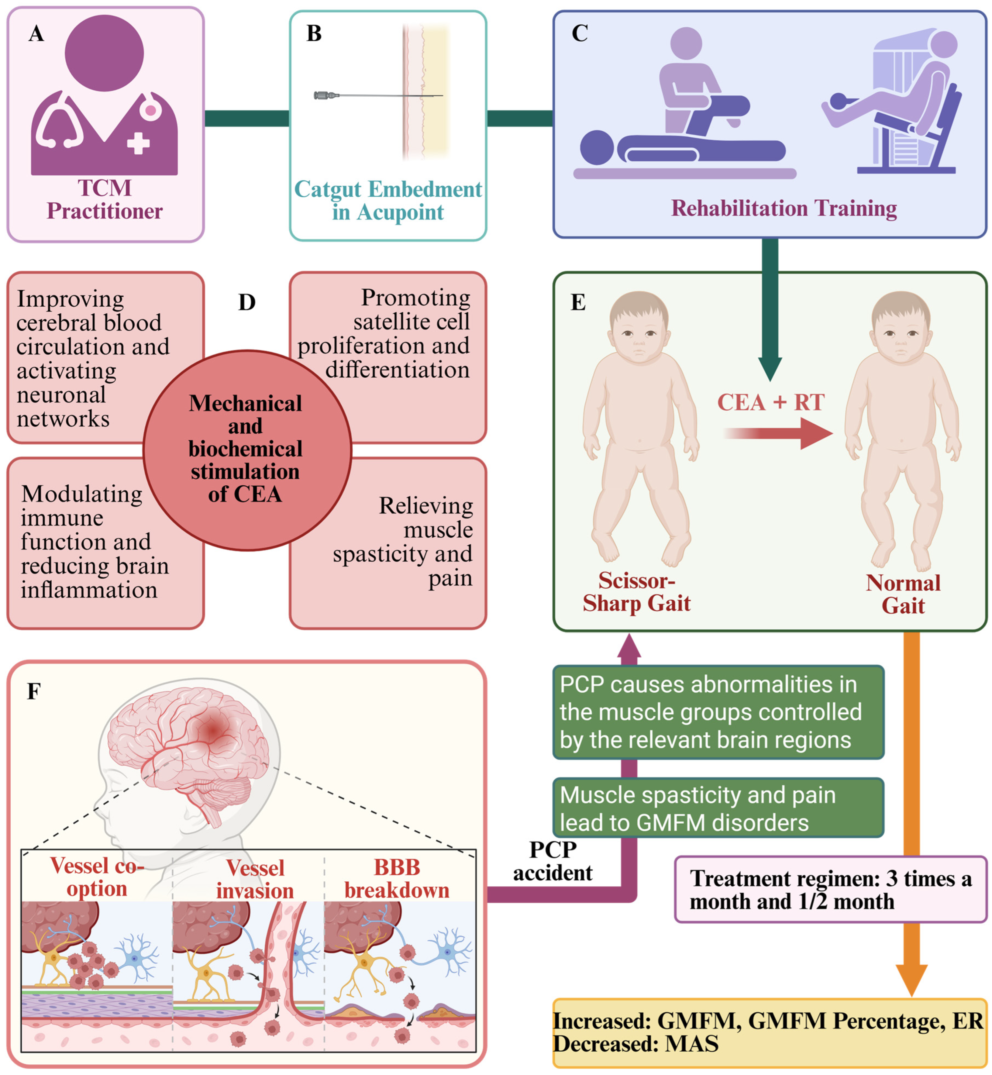 Healthcare 13 01301 g001