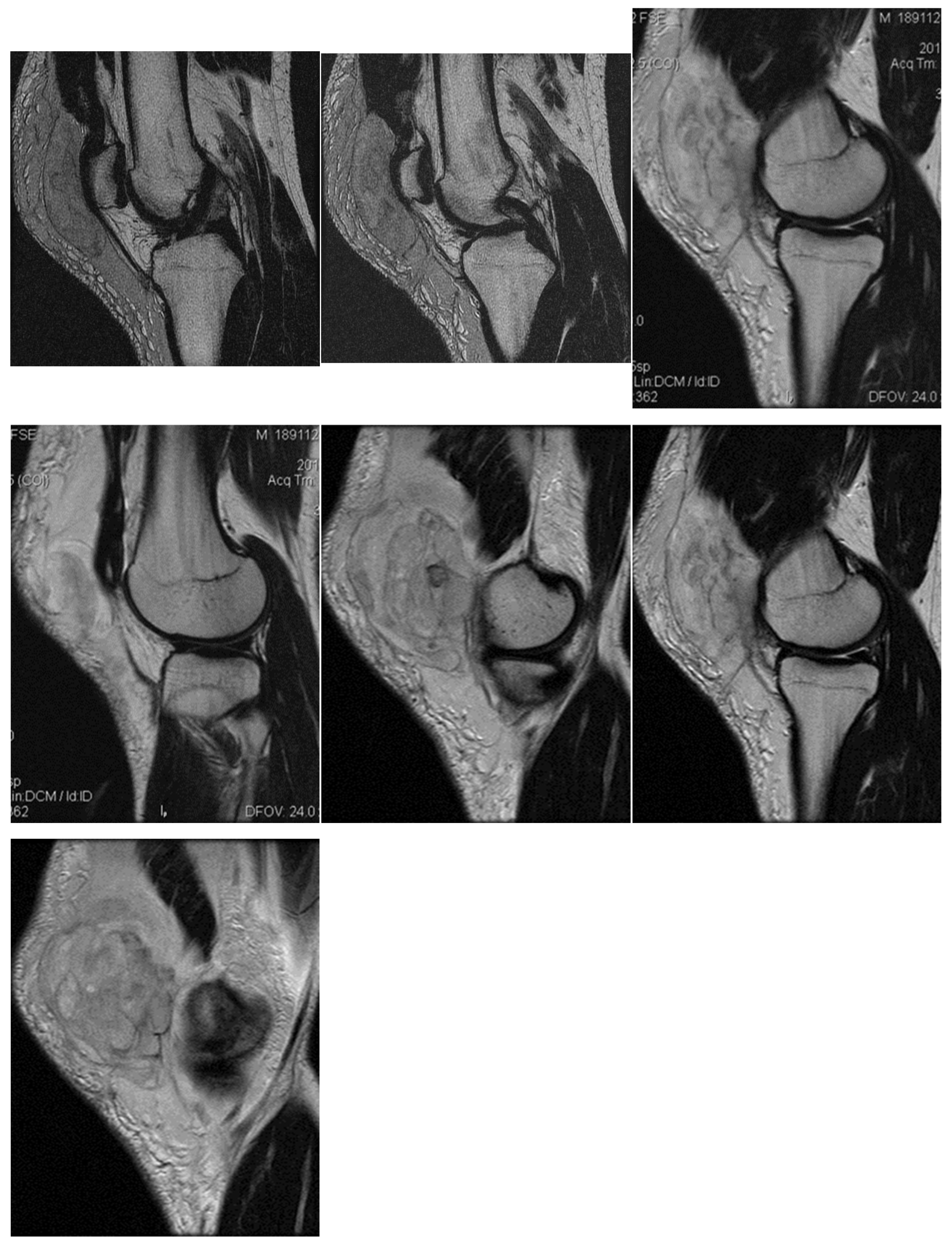 Healthcare 13 01303 g001