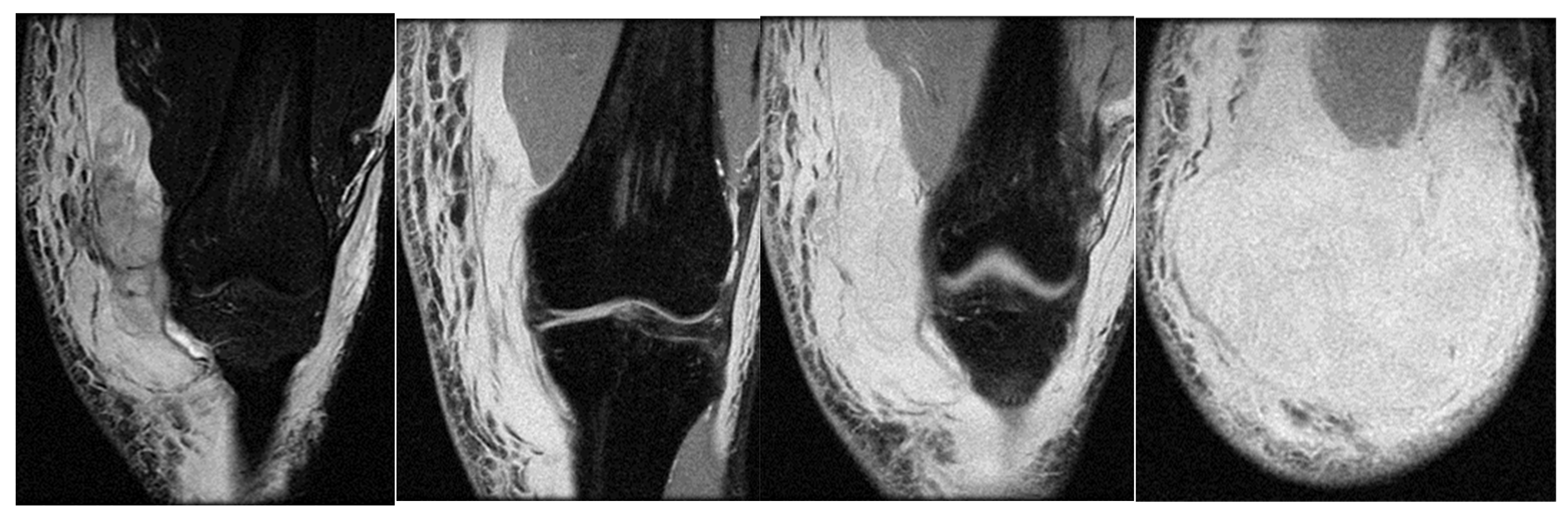 Healthcare 13 01303 g003