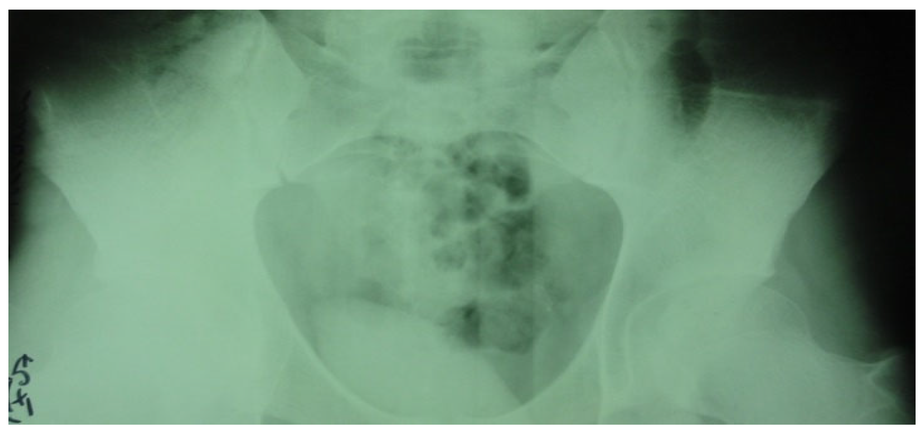 Healthcare 13 01303 g004