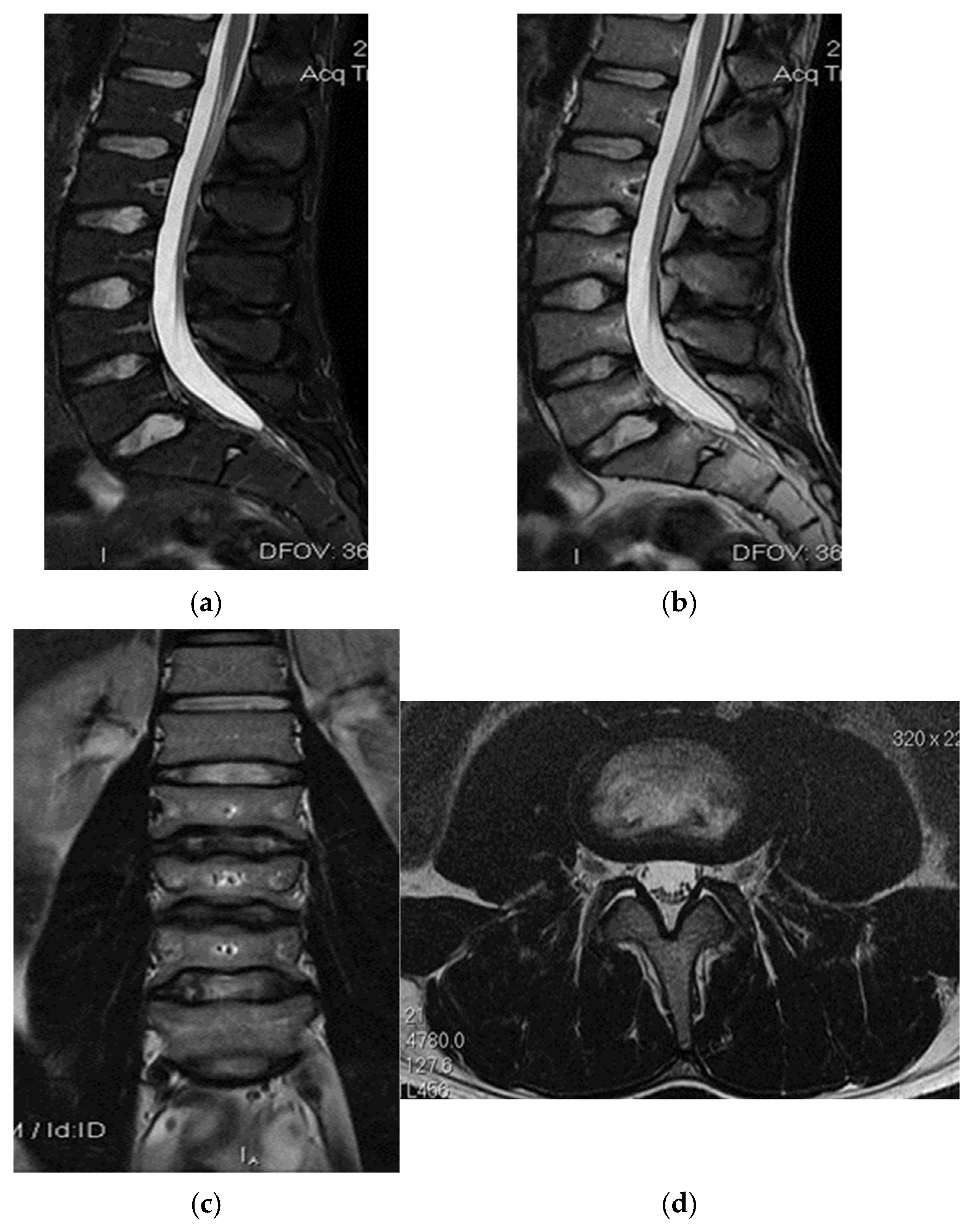 Healthcare 13 01303 g005