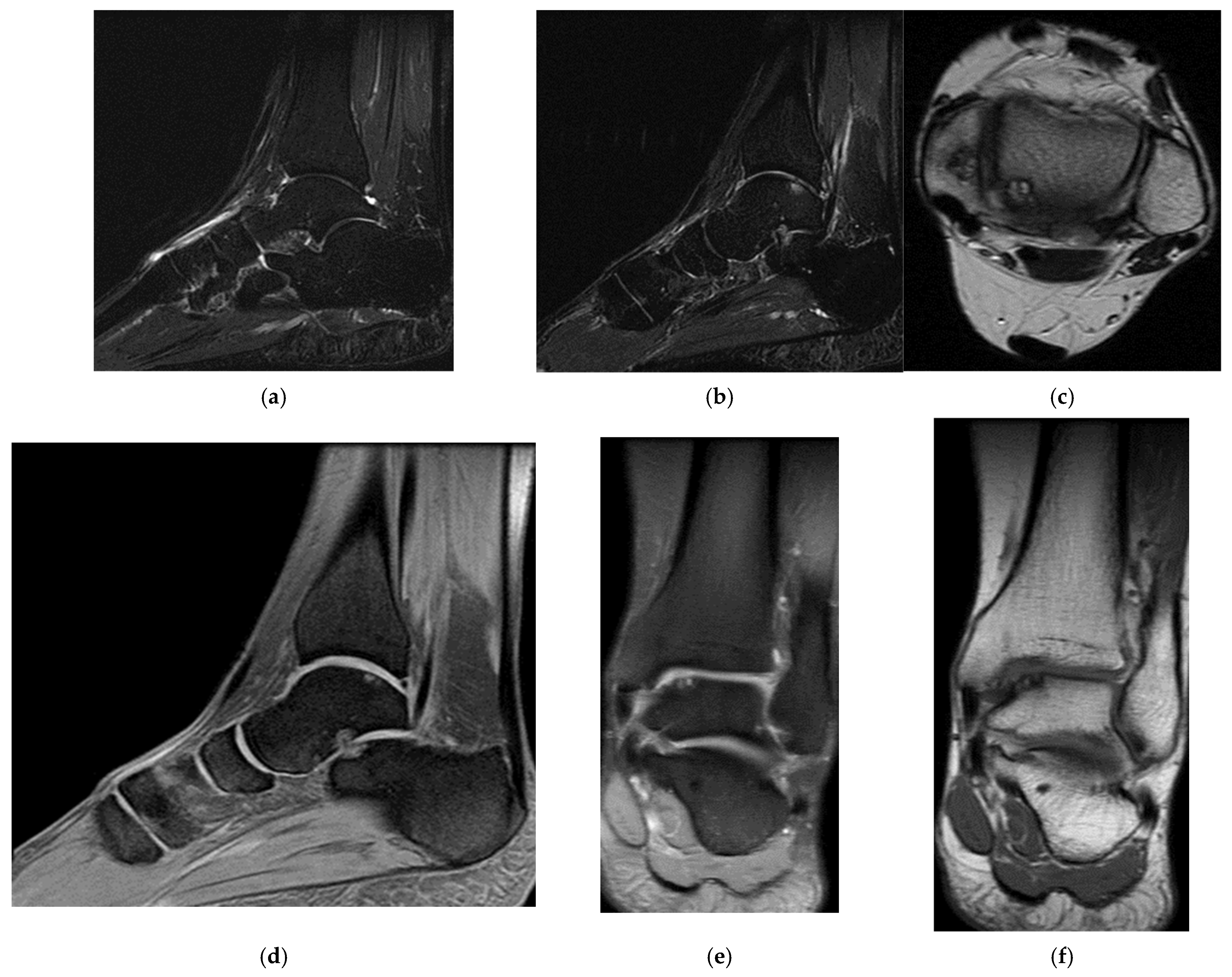 Healthcare 13 01303 g009