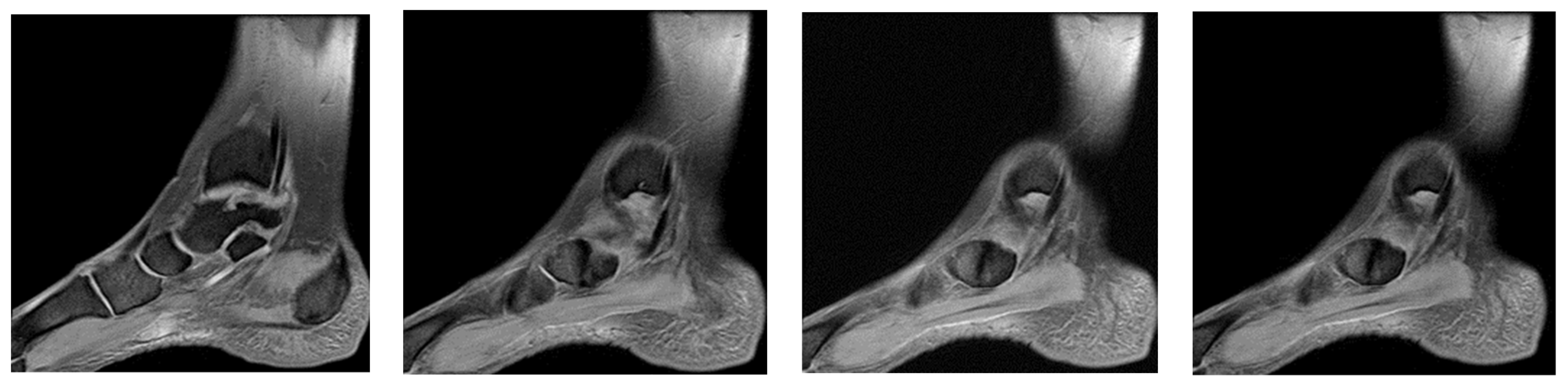 Healthcare 13 01303 g011