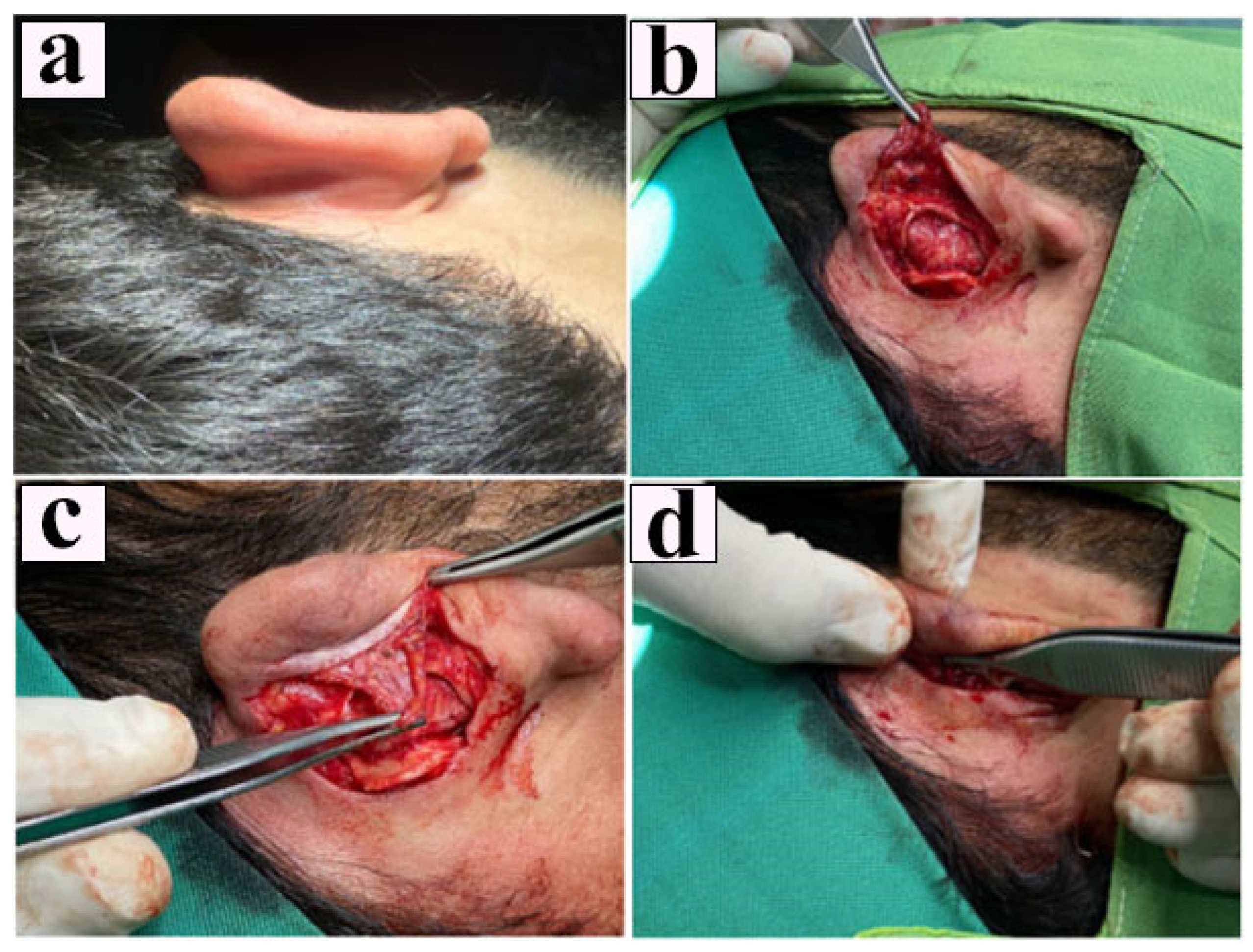 Healthcare 13 01325 g001